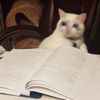 勉強😭