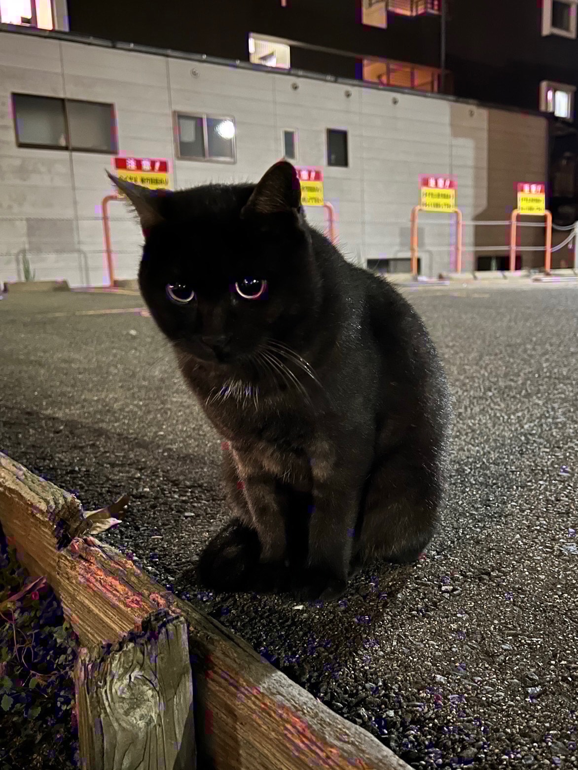 暇な人来て！話そ！