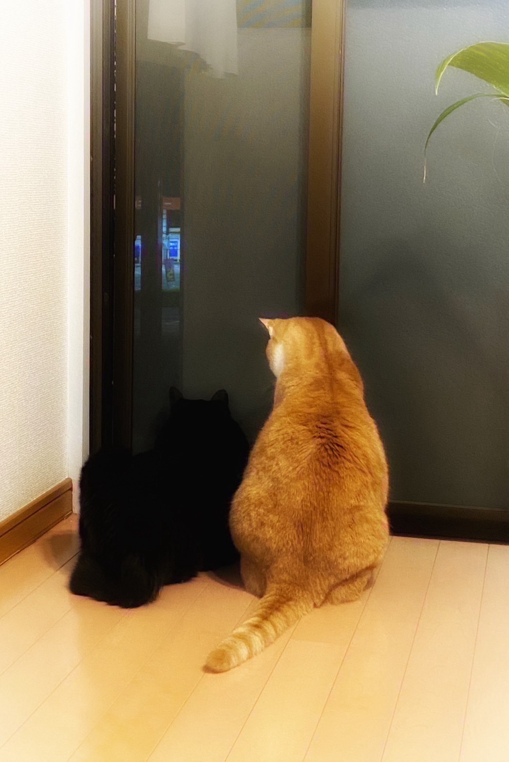 少し話したい