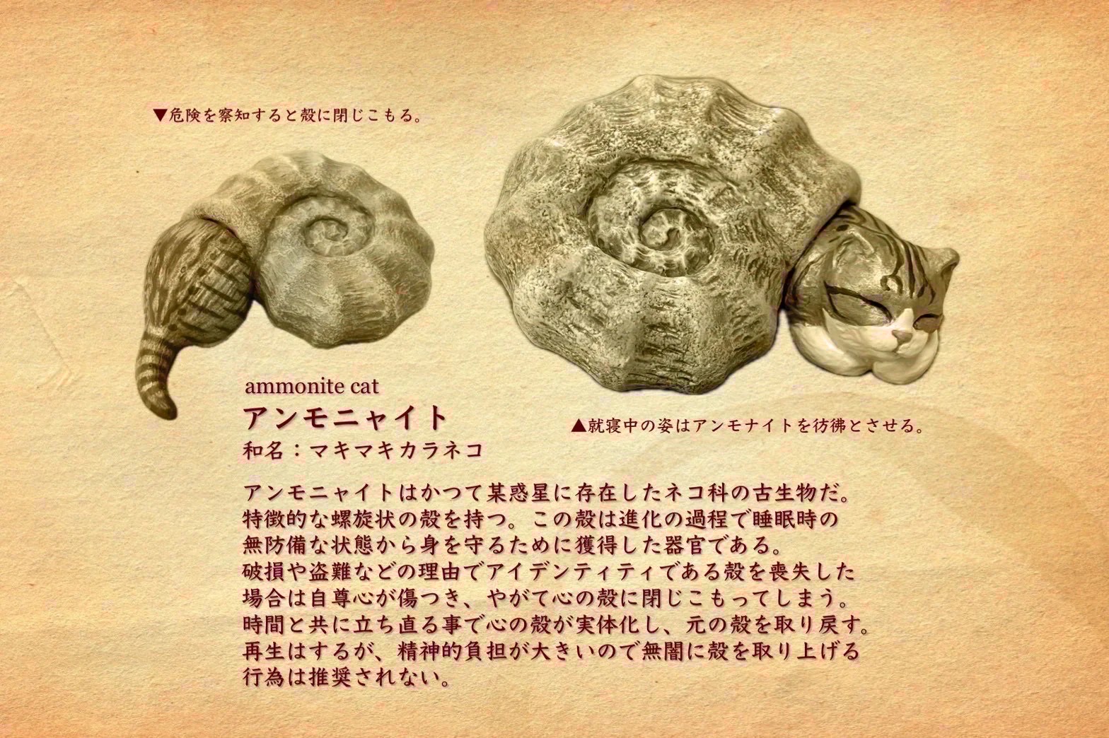 初見◎ちょいと話しませんか？