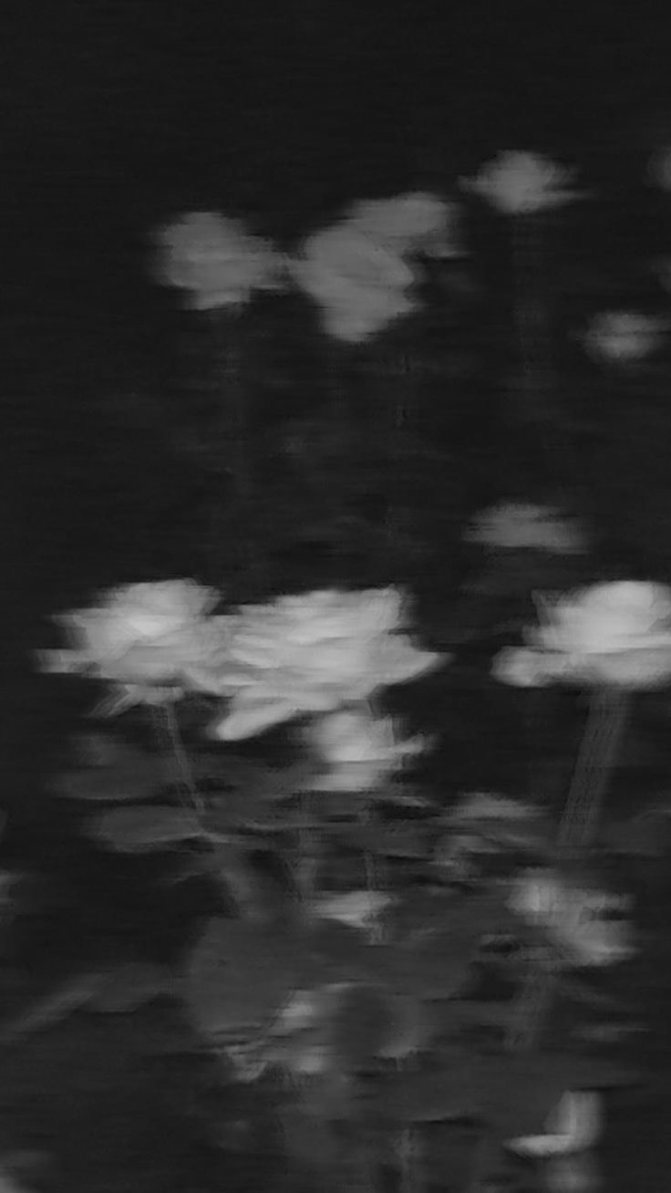 暇つぶし