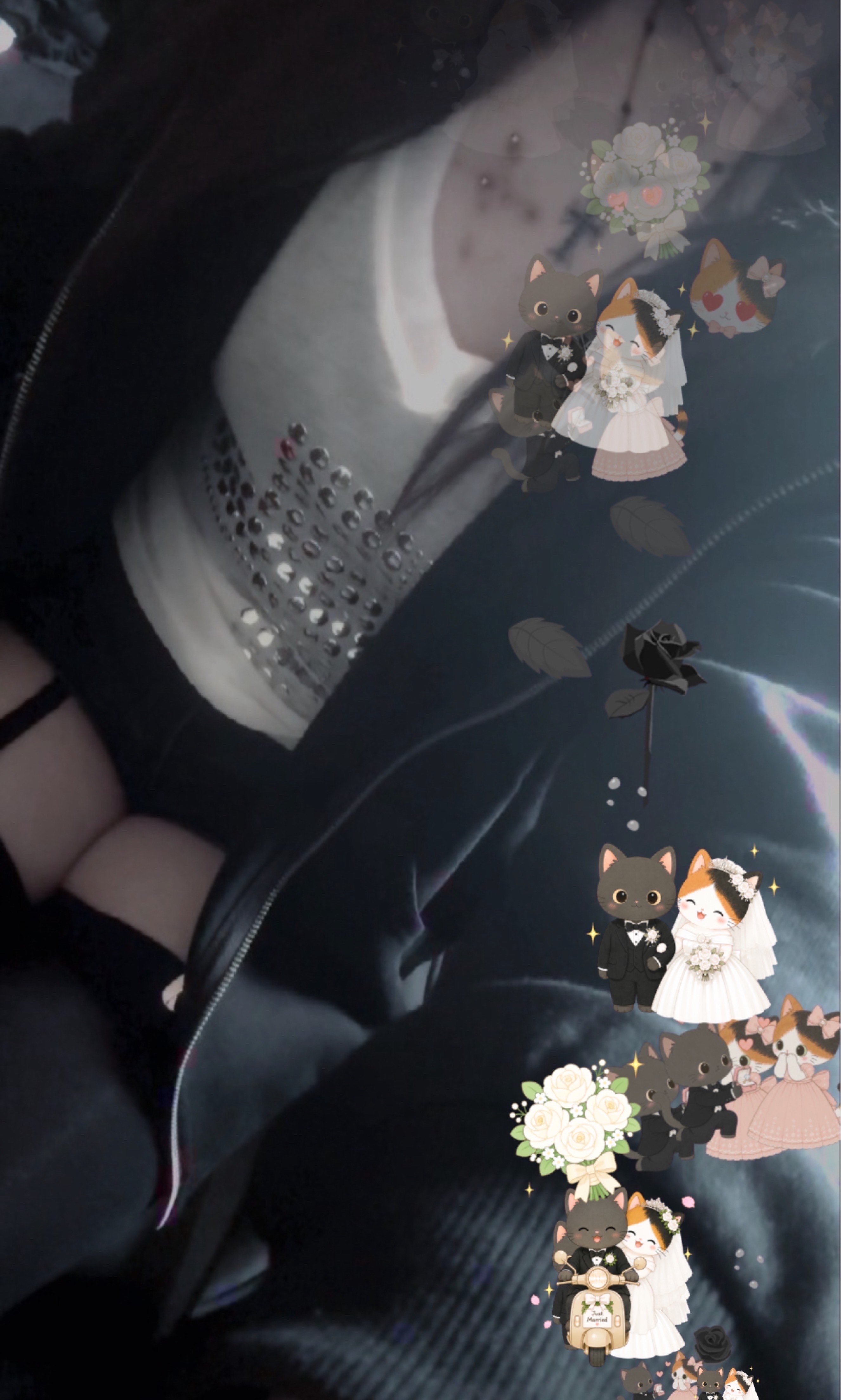 はなそ
