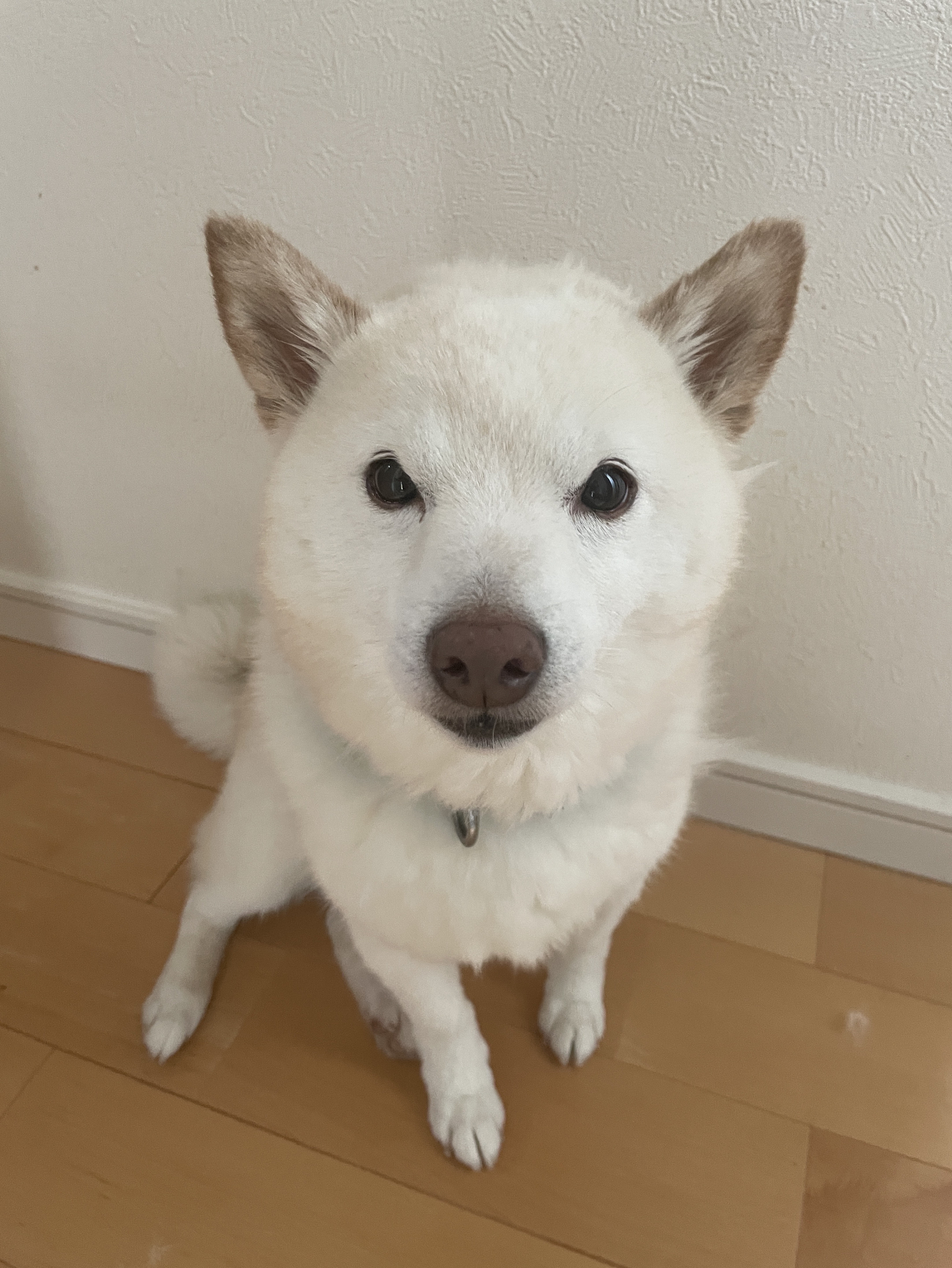 お話しましょ