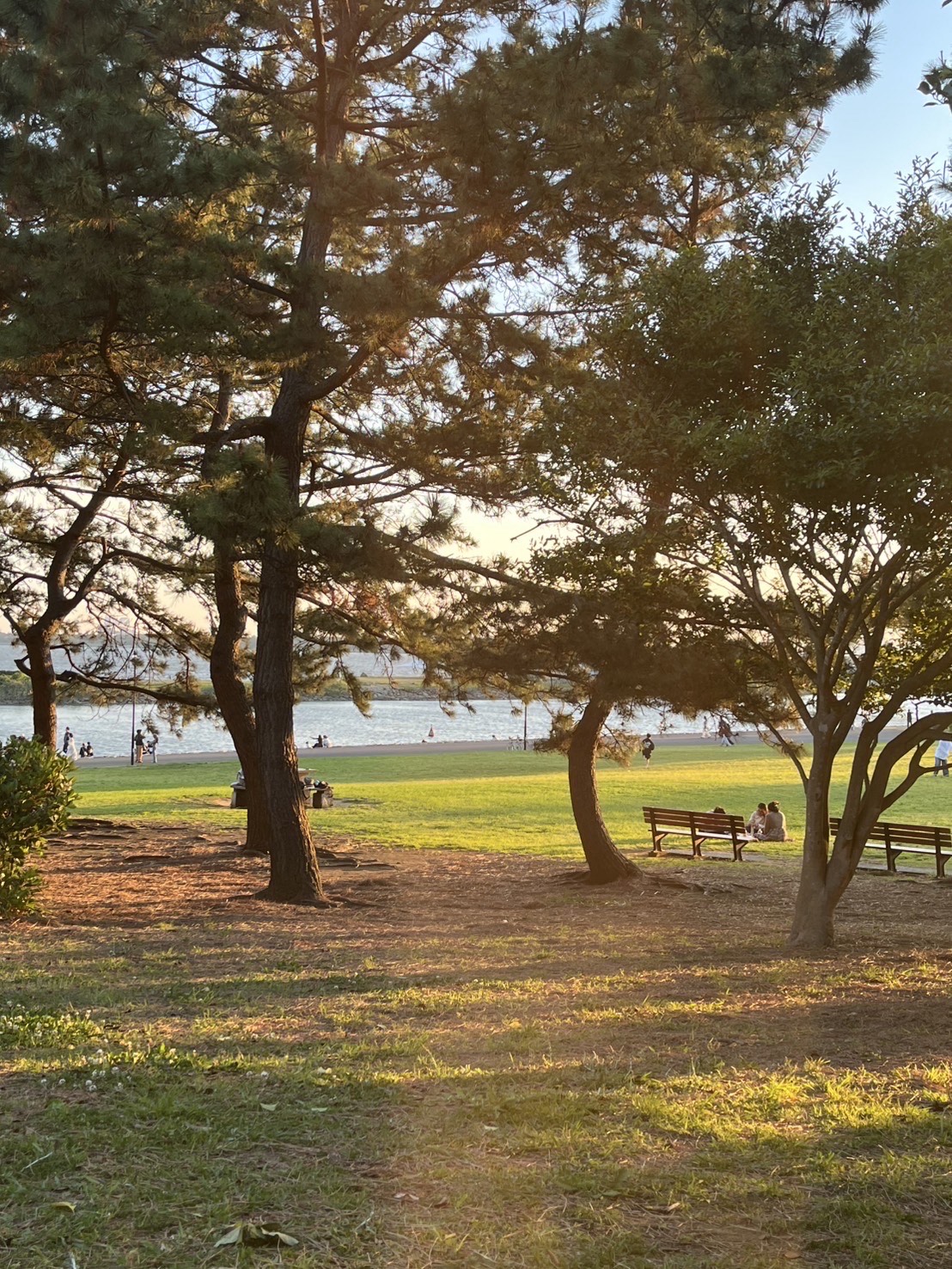 はなそー
