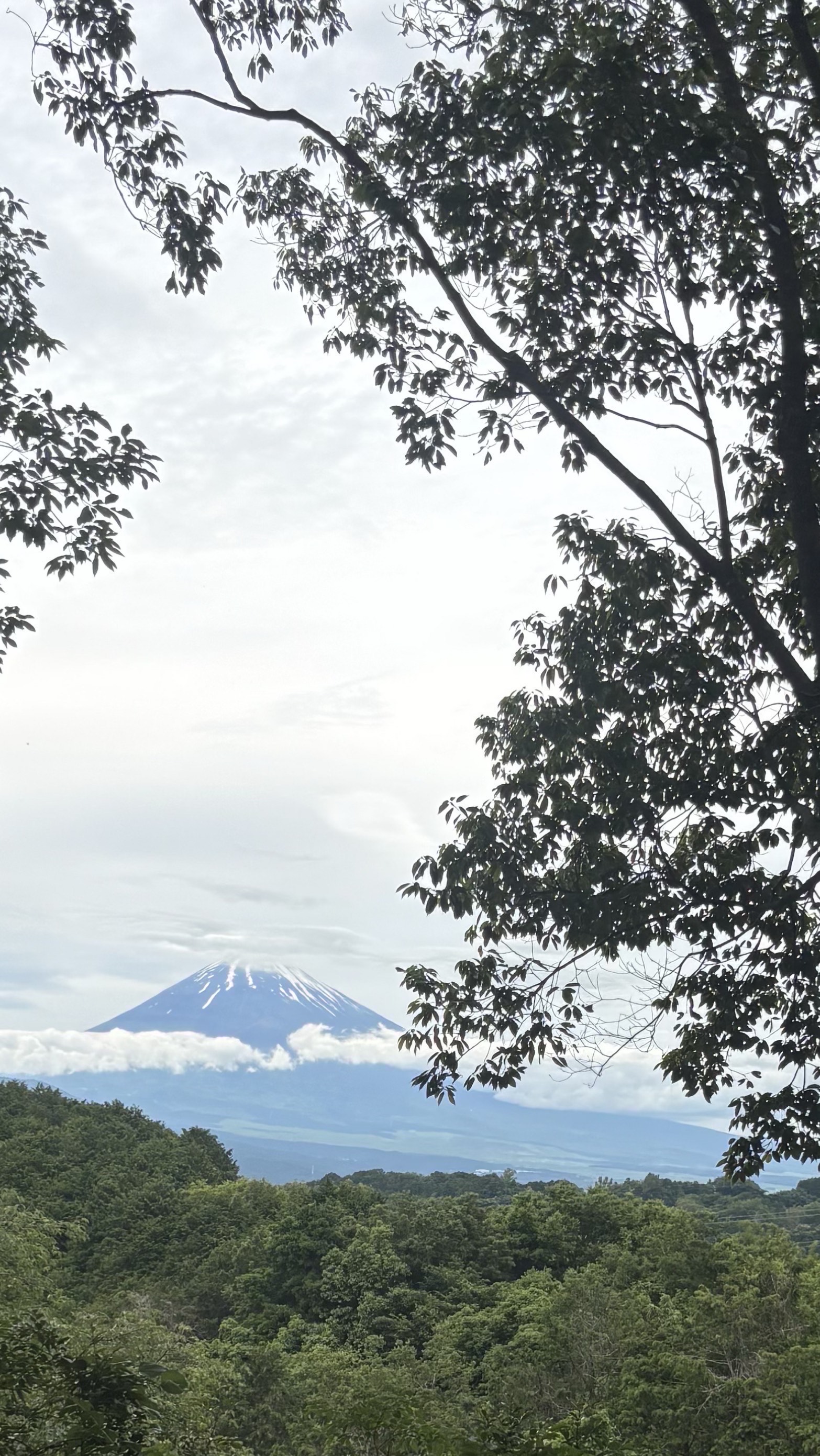 暇つぶし☆カラオケ。