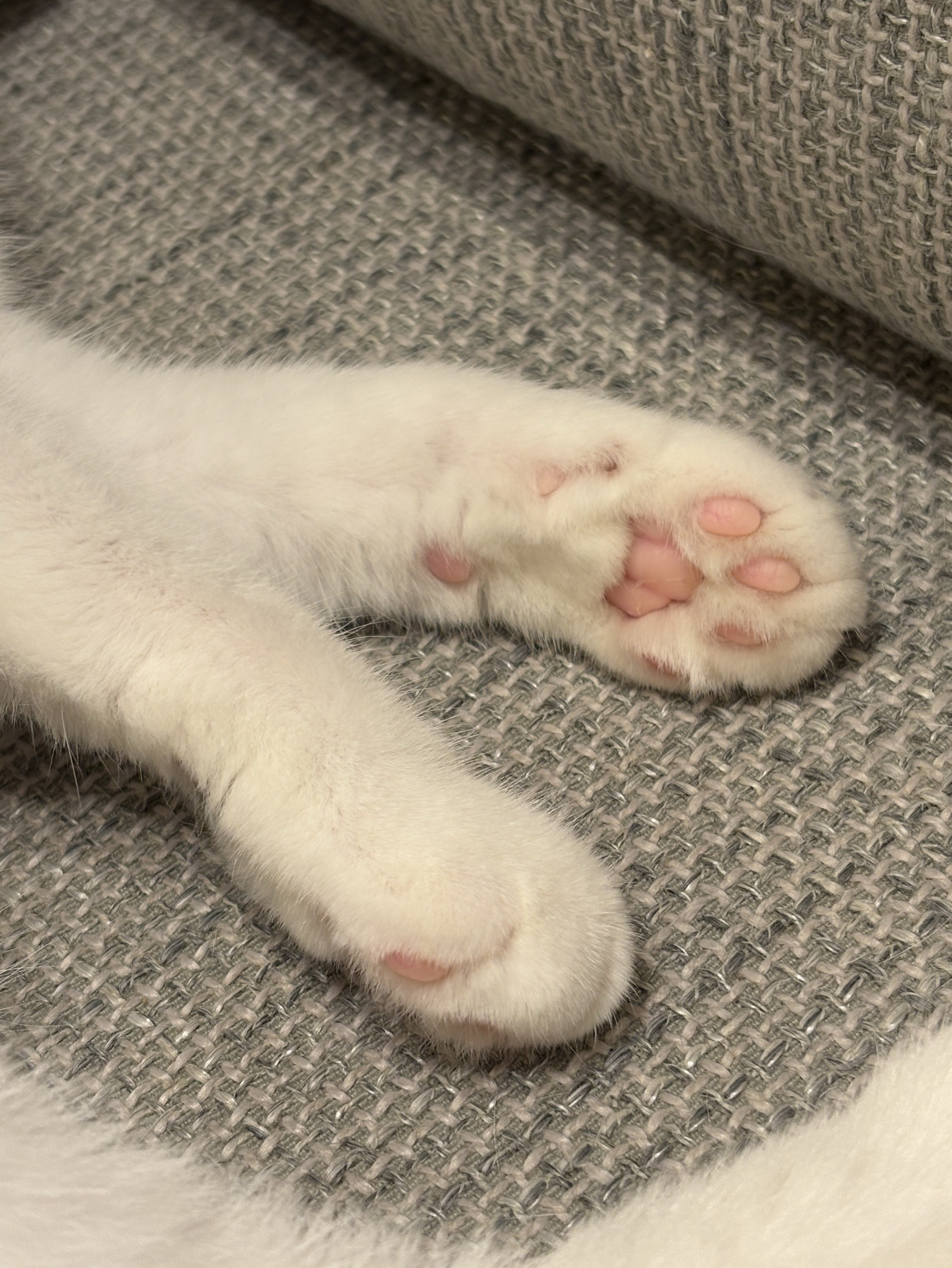 くだらなおもしろ話待ち