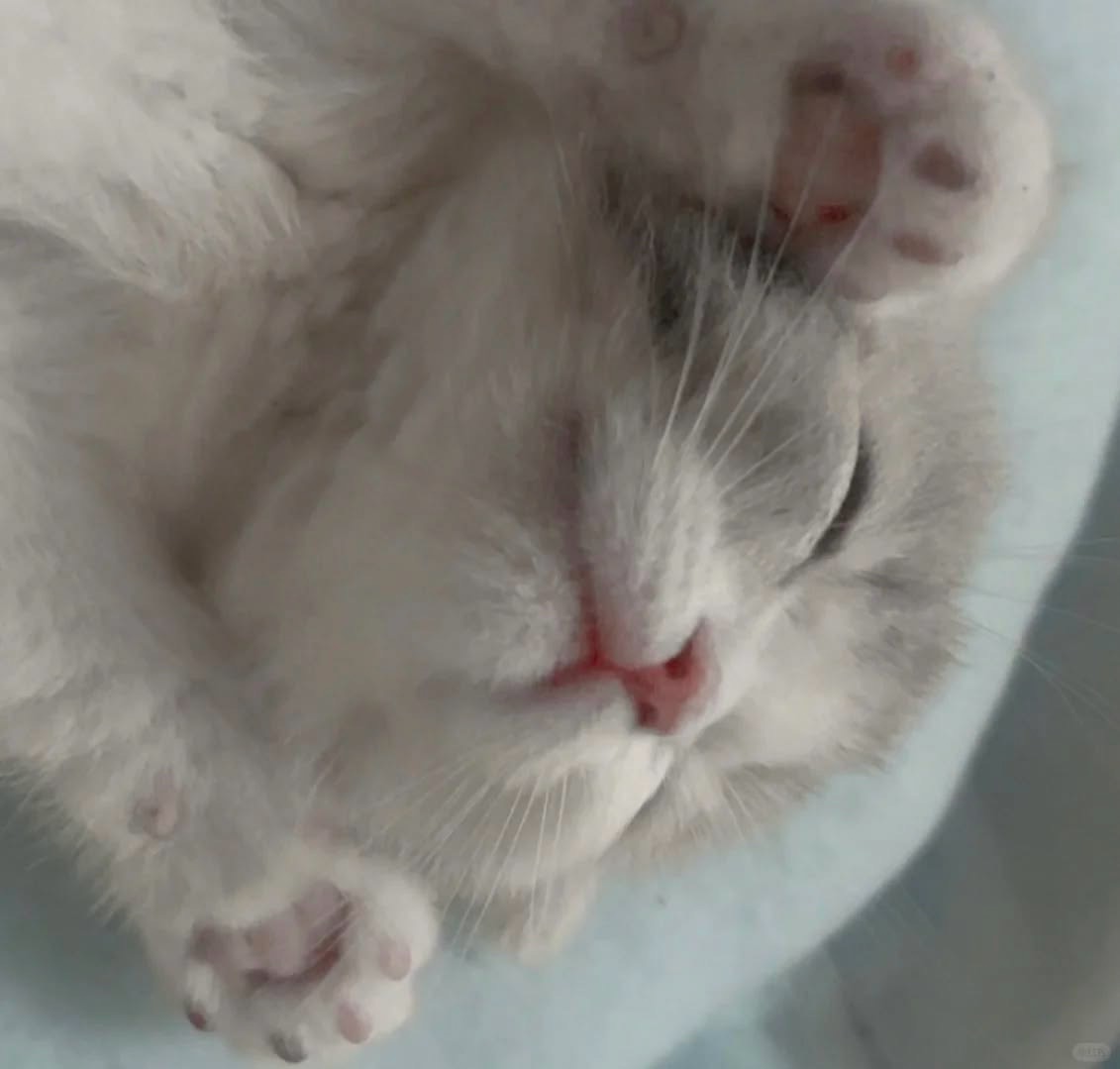 ひまつぶし