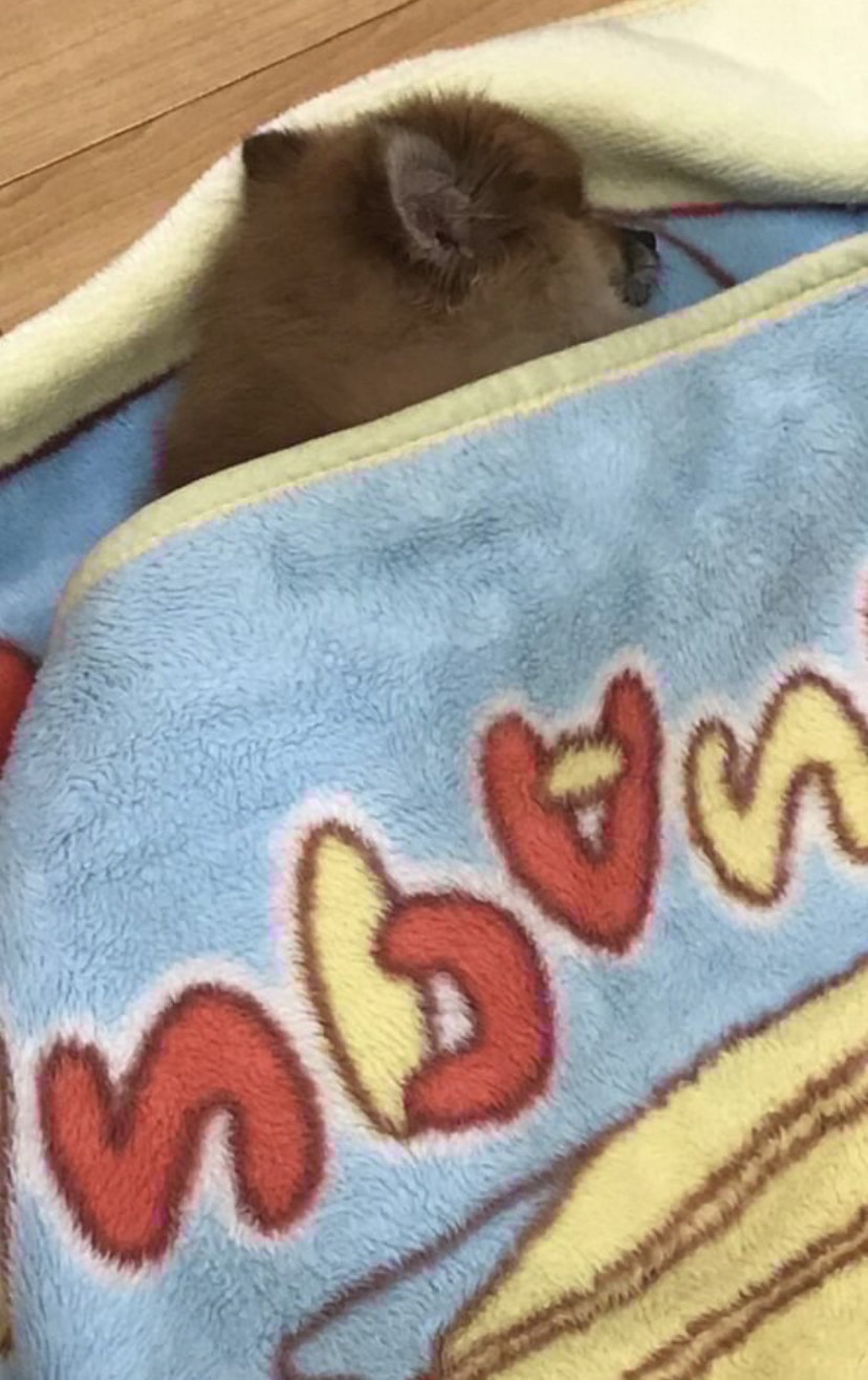 おひるね