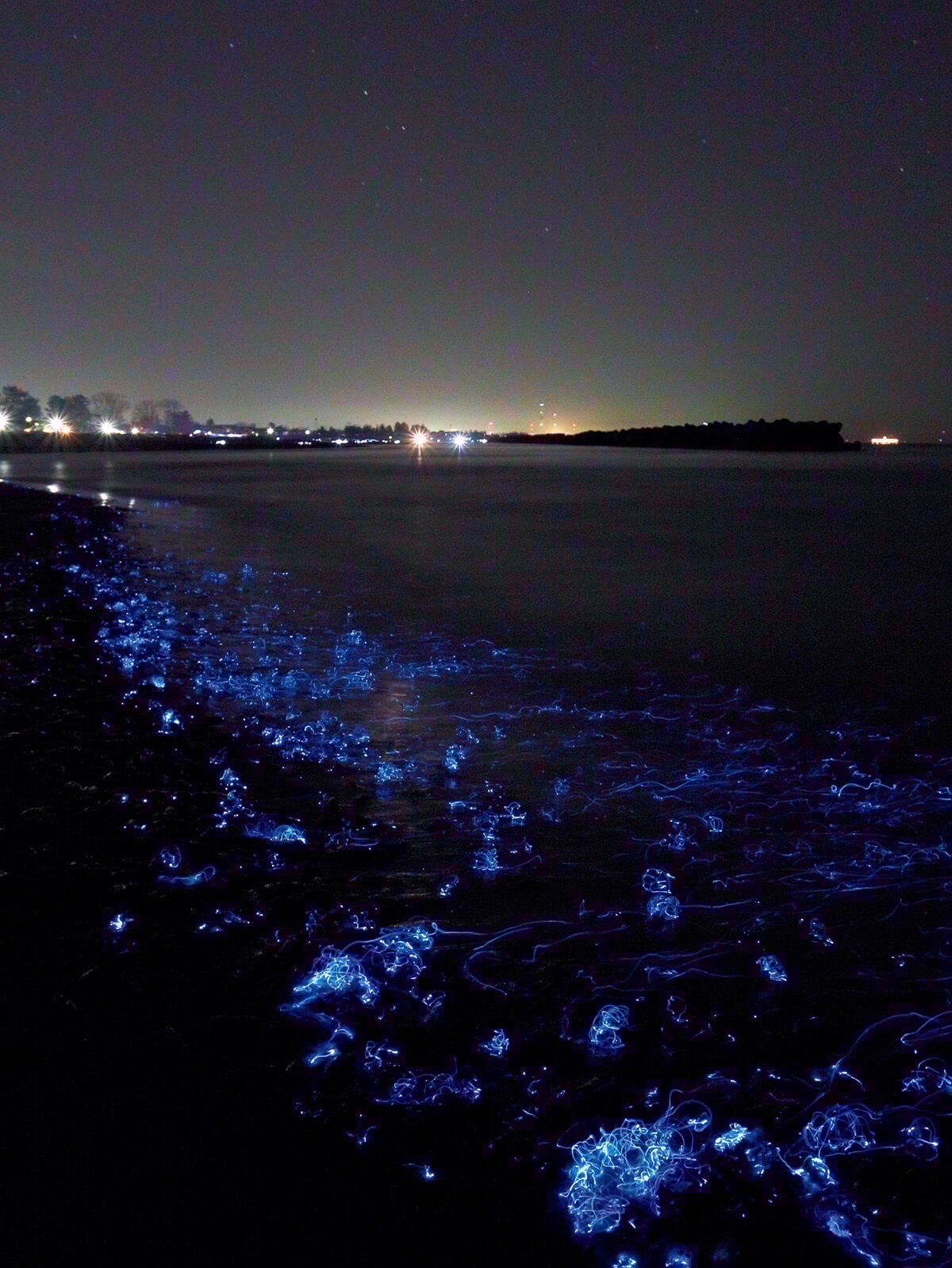 いったん