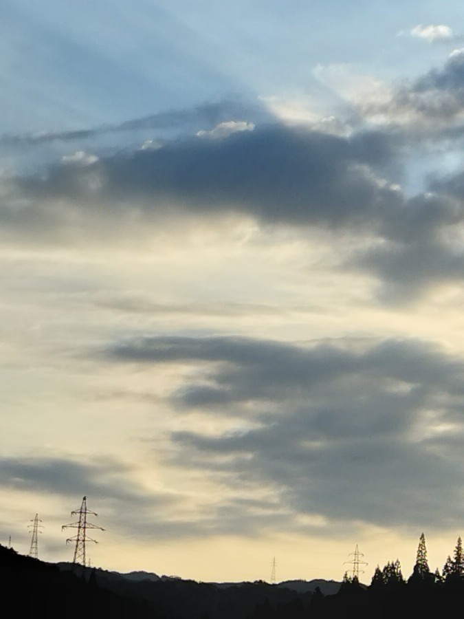 あさ〜おはー