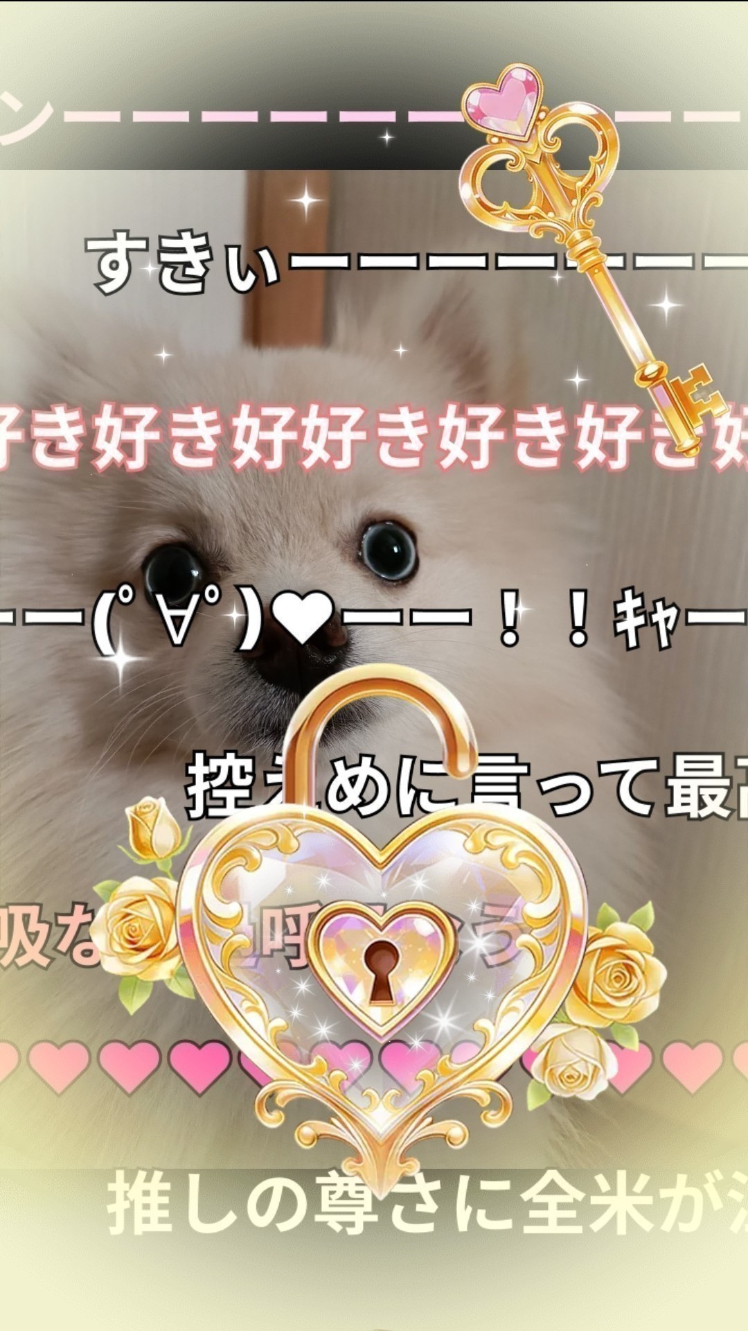 ハートあつめ❤︎