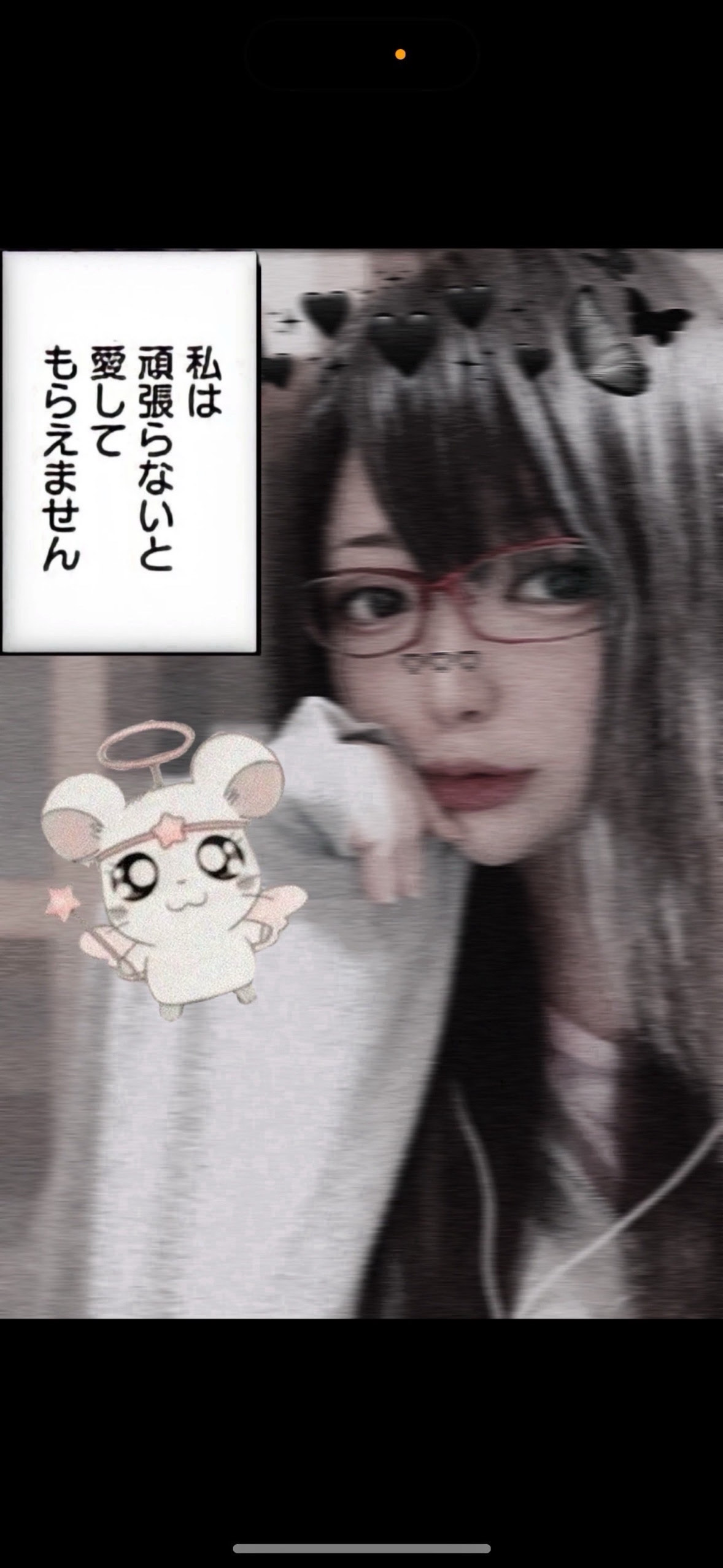 乗り換えてみたら？🐹🪽‪