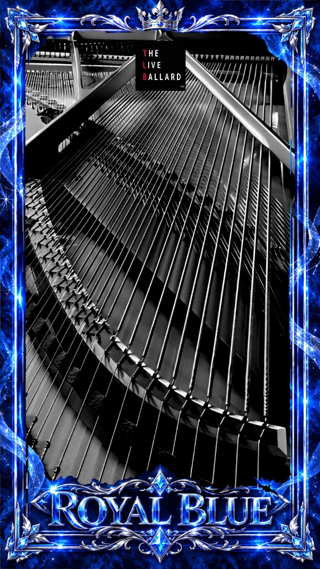 🔹　🎹＆🐱