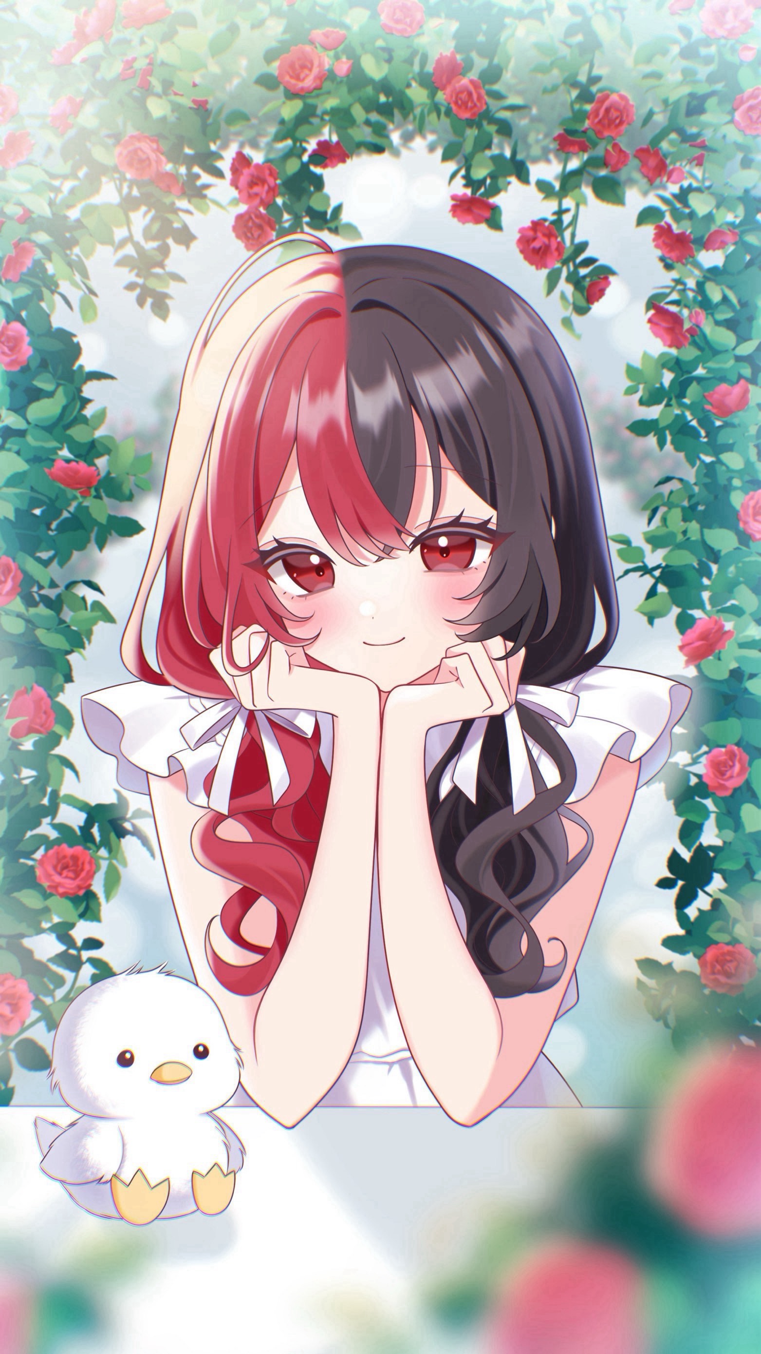 りょちゃん