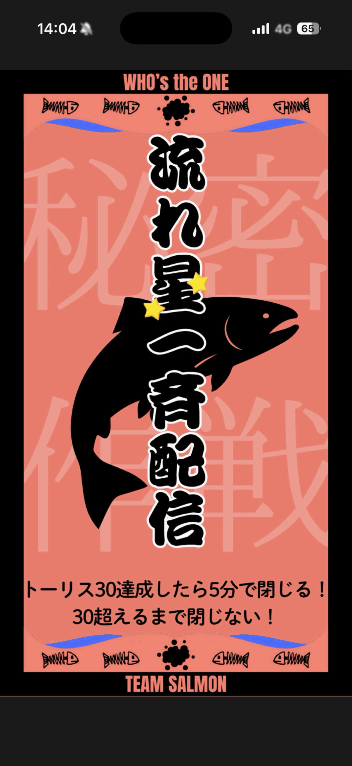 サーモン流れ星🐟