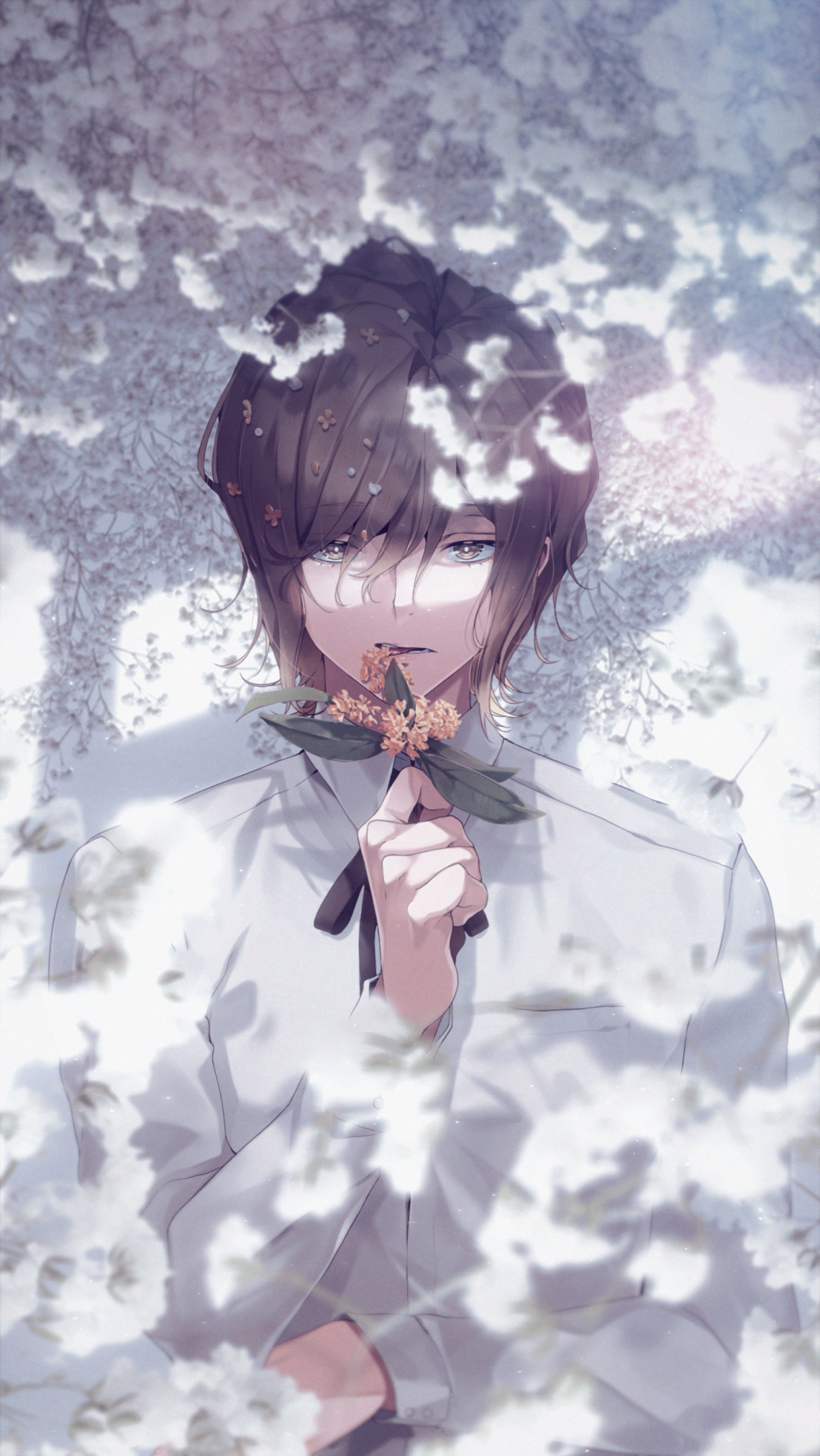 𝙜𝙤𝙤𝙙 𝕟𝕚𝕘𝕙𝕥 𝗝𝗮𝗽𝗮𝗻𓂃