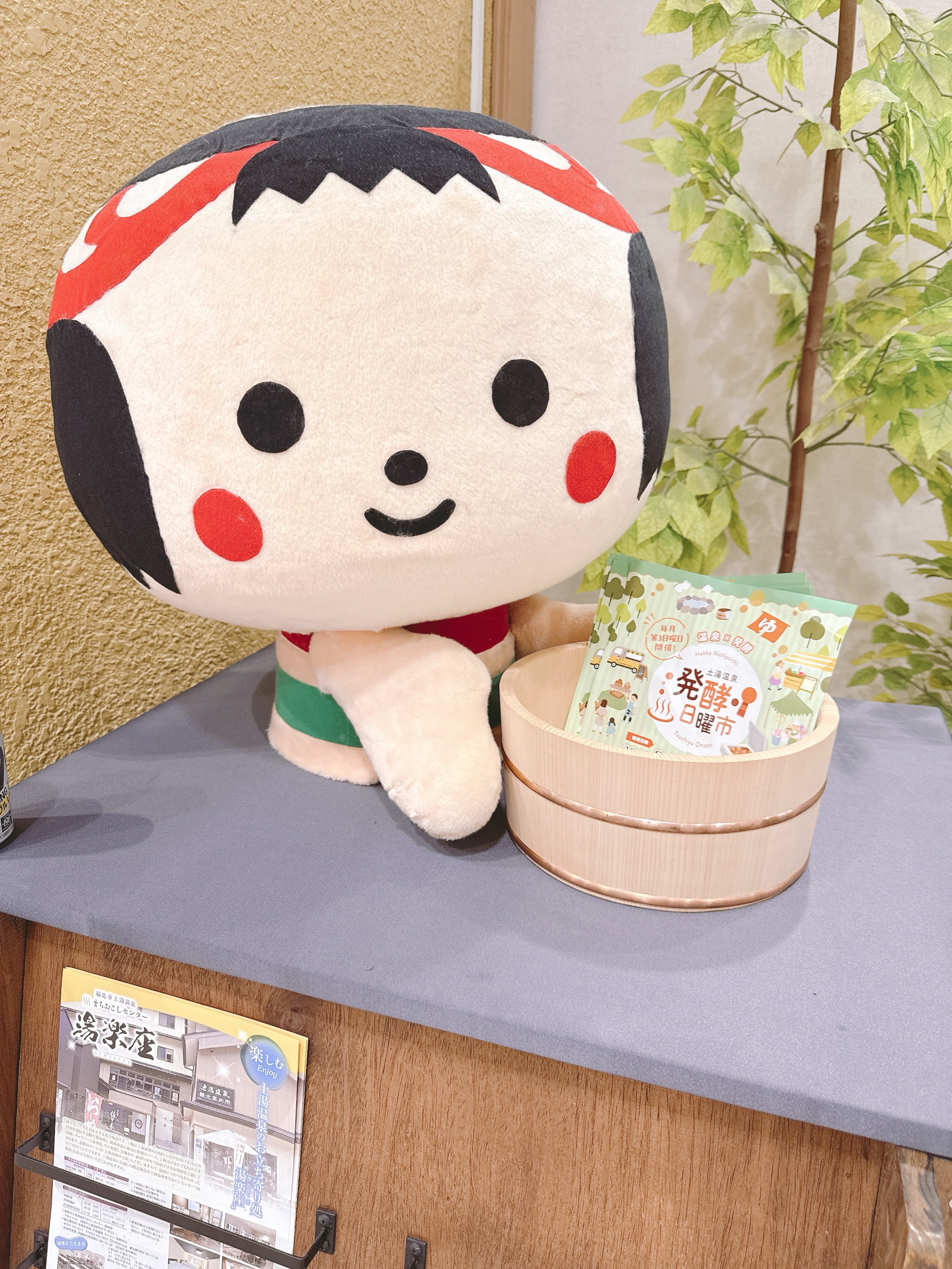 おはようございます🌻´-