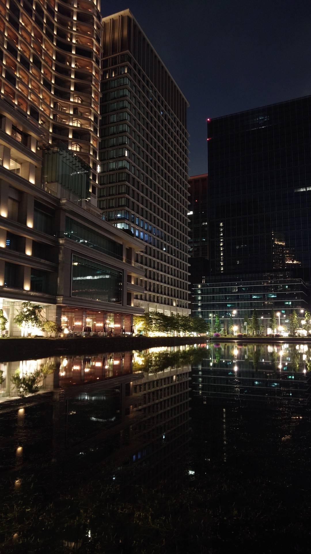 深夜のおさんぽ