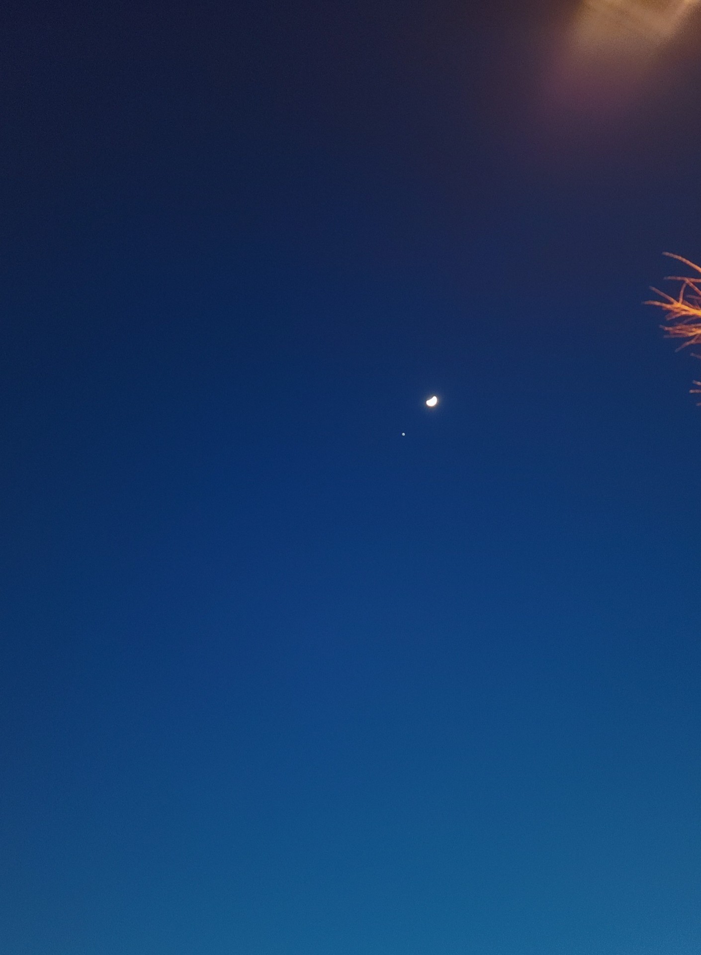 いつもの寝落ち