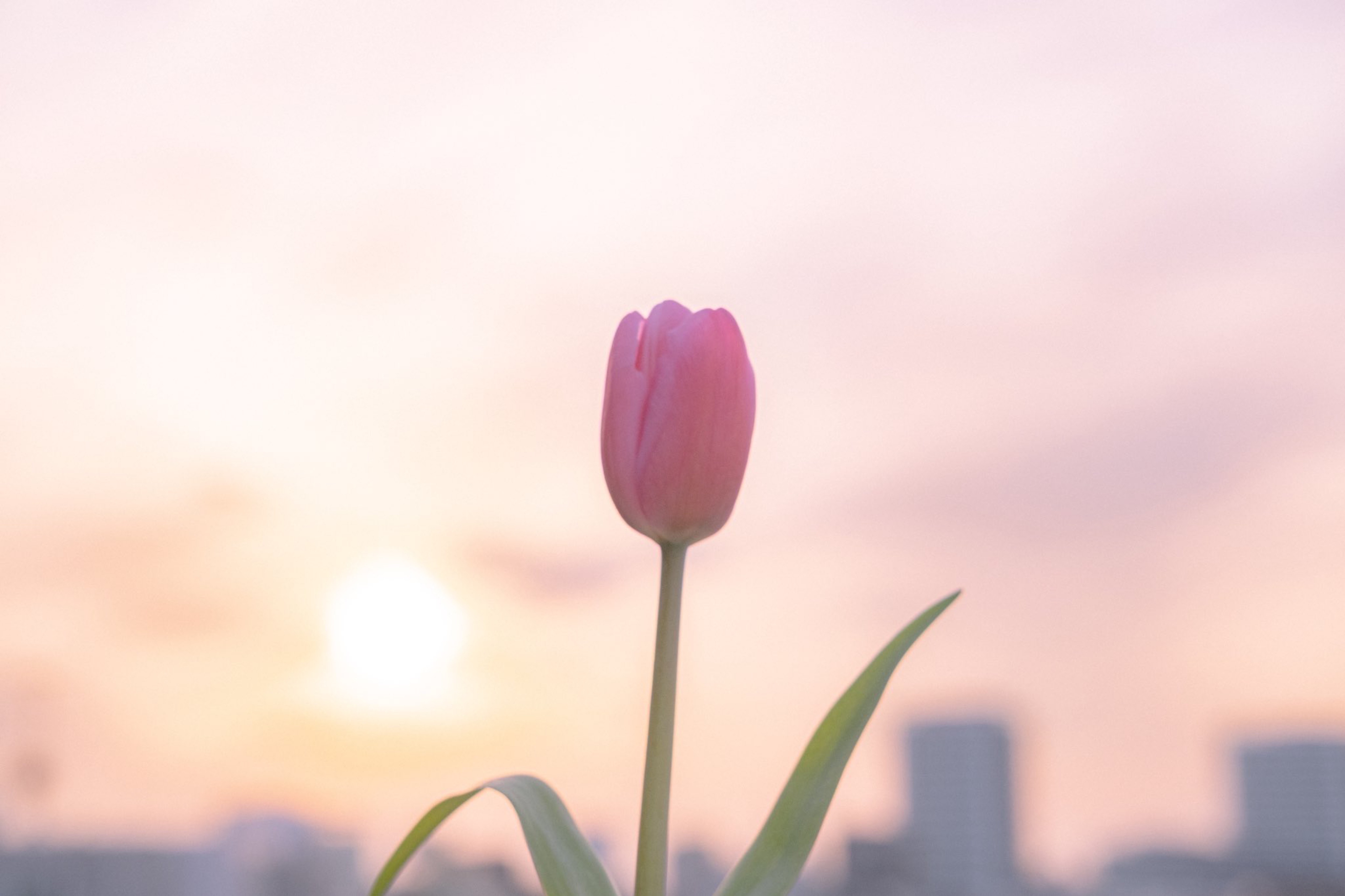 寝落ち弾き語り