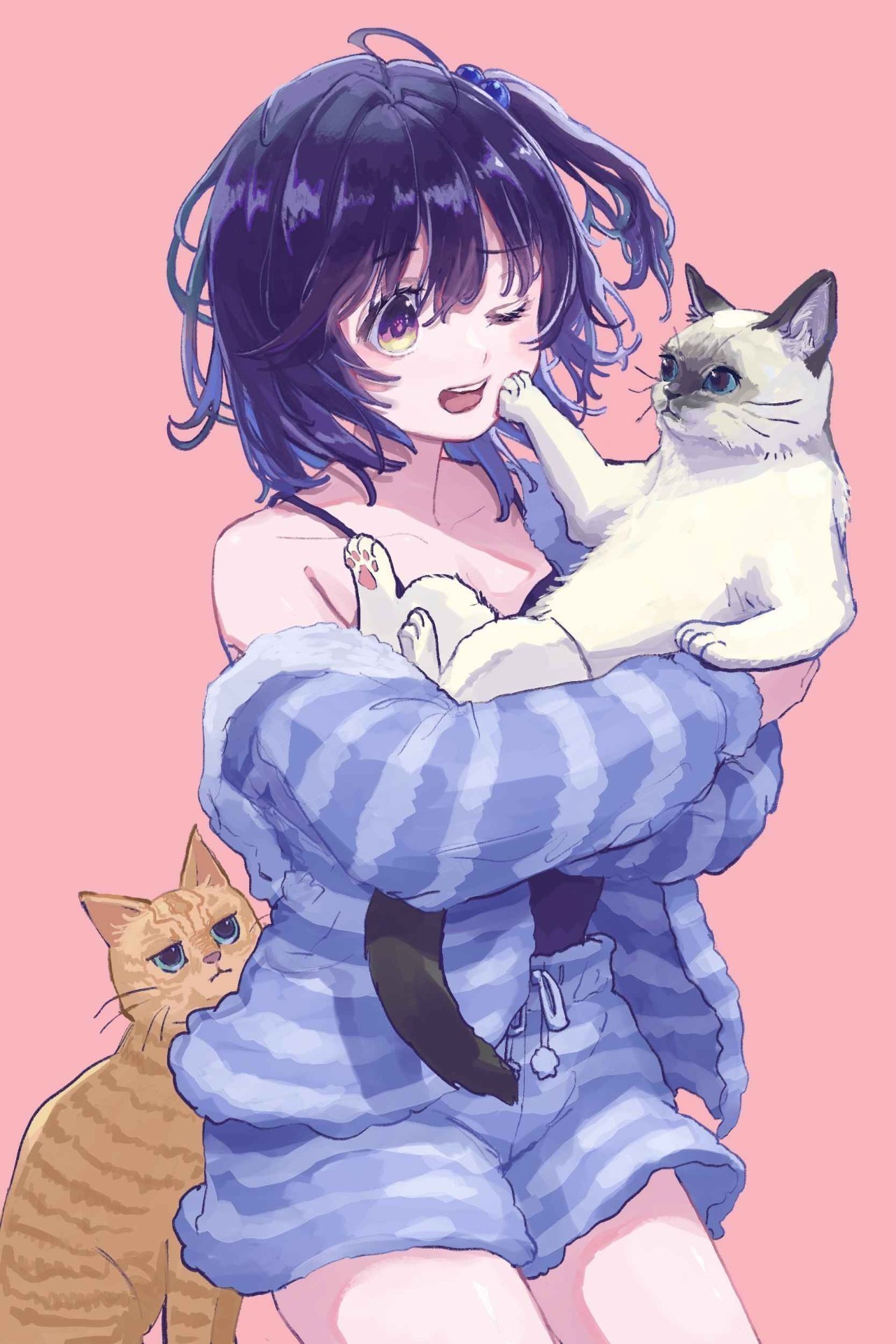 シーラカンス枠