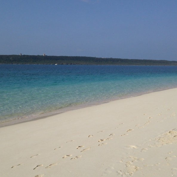 ゆっくりしてね😊初・潜〇