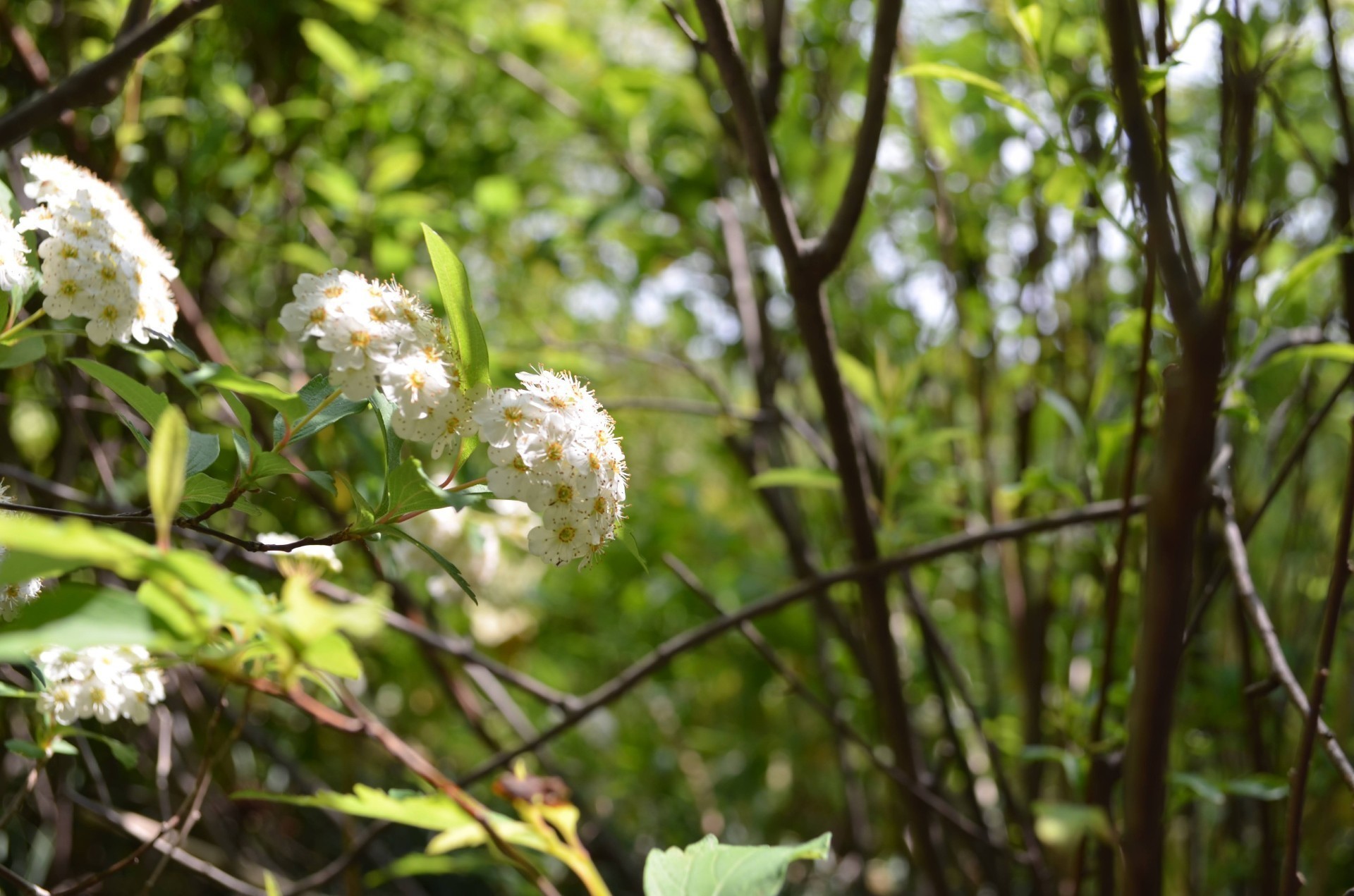 テスト勉強しつつ…