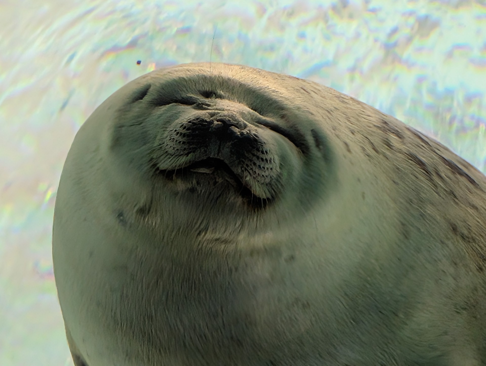 新規リスナー急募優遇中