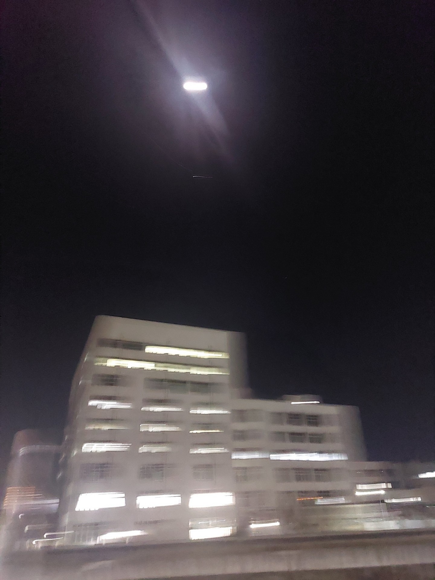 闇に落ちる蓮新