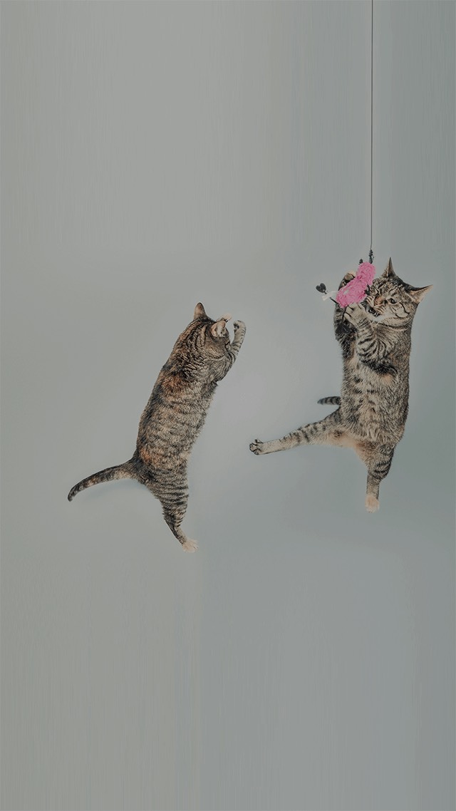 初見さん大歓迎🫶寝ましょ！