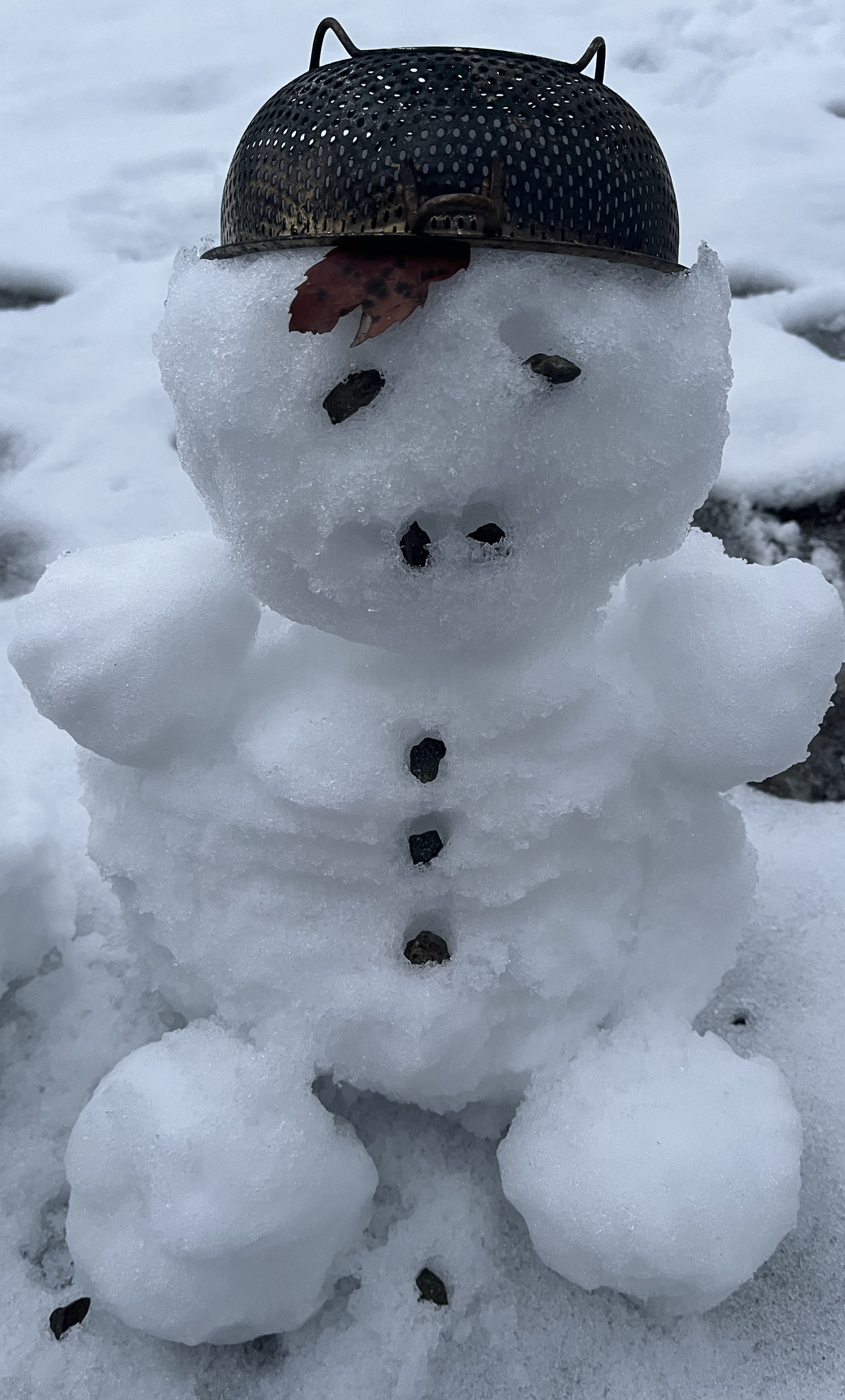 ひまな人いませんかっ