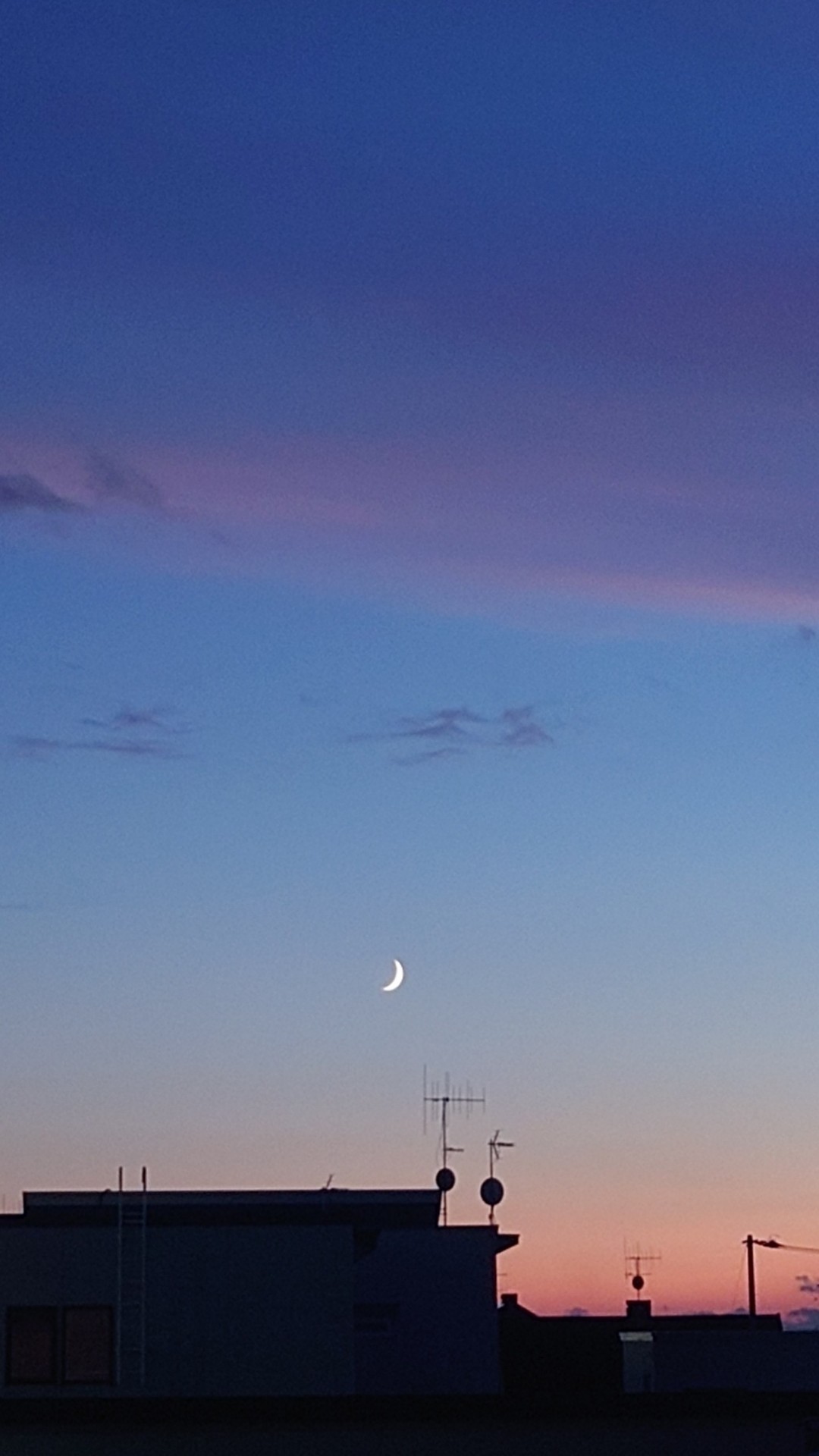 夜ご飯まで勉強。