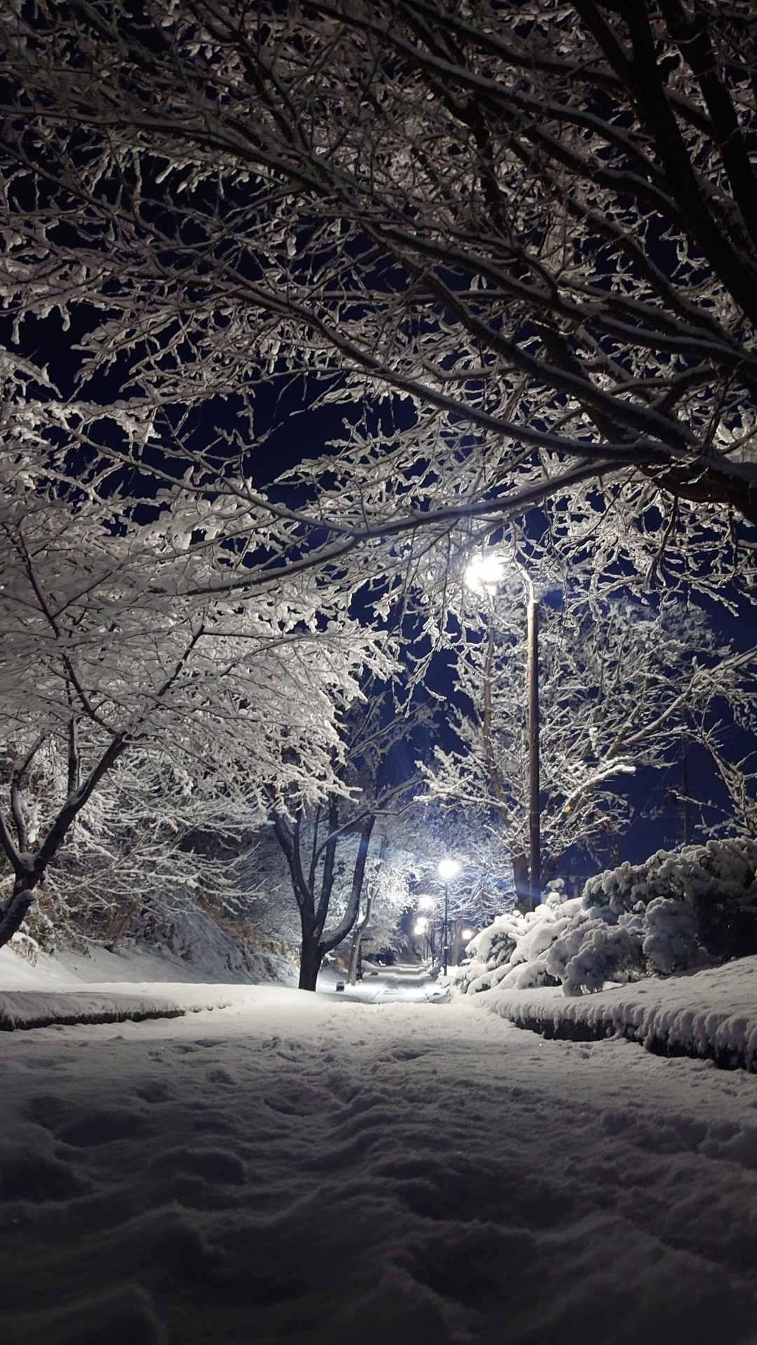 夜ご飯まで勉強。