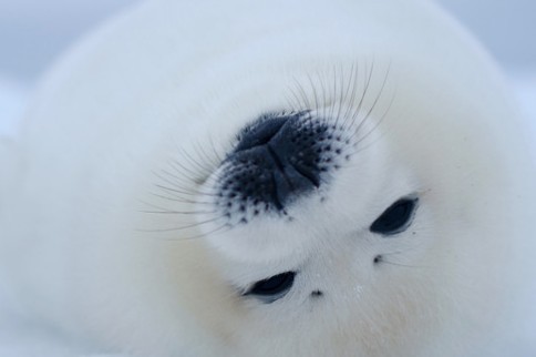 惰性で地理の勉強