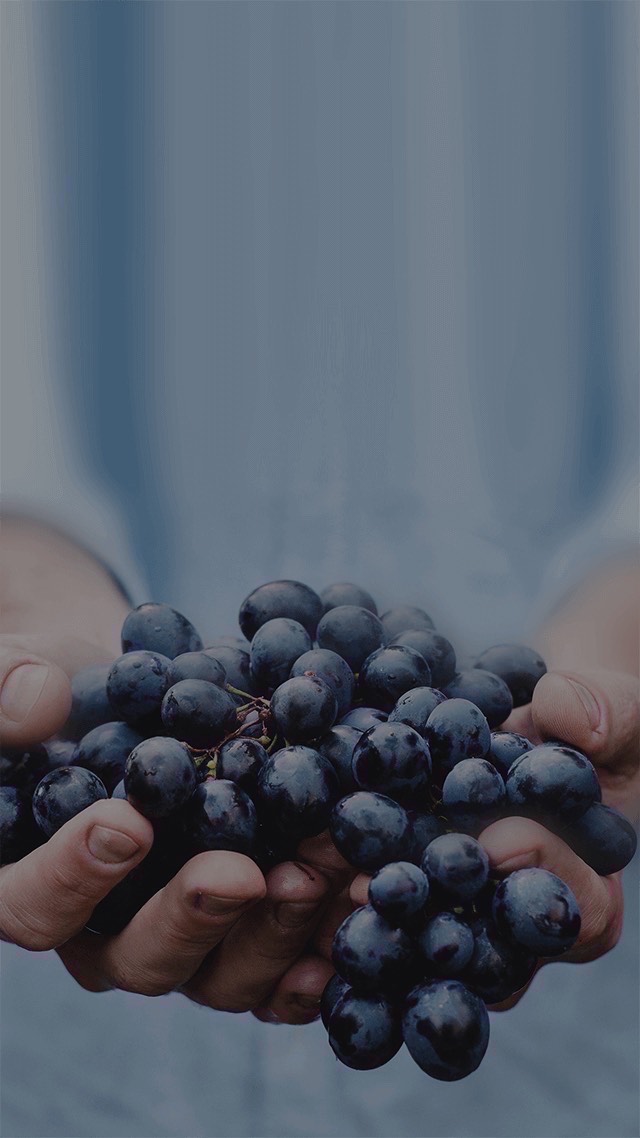 日本語を勉強のために