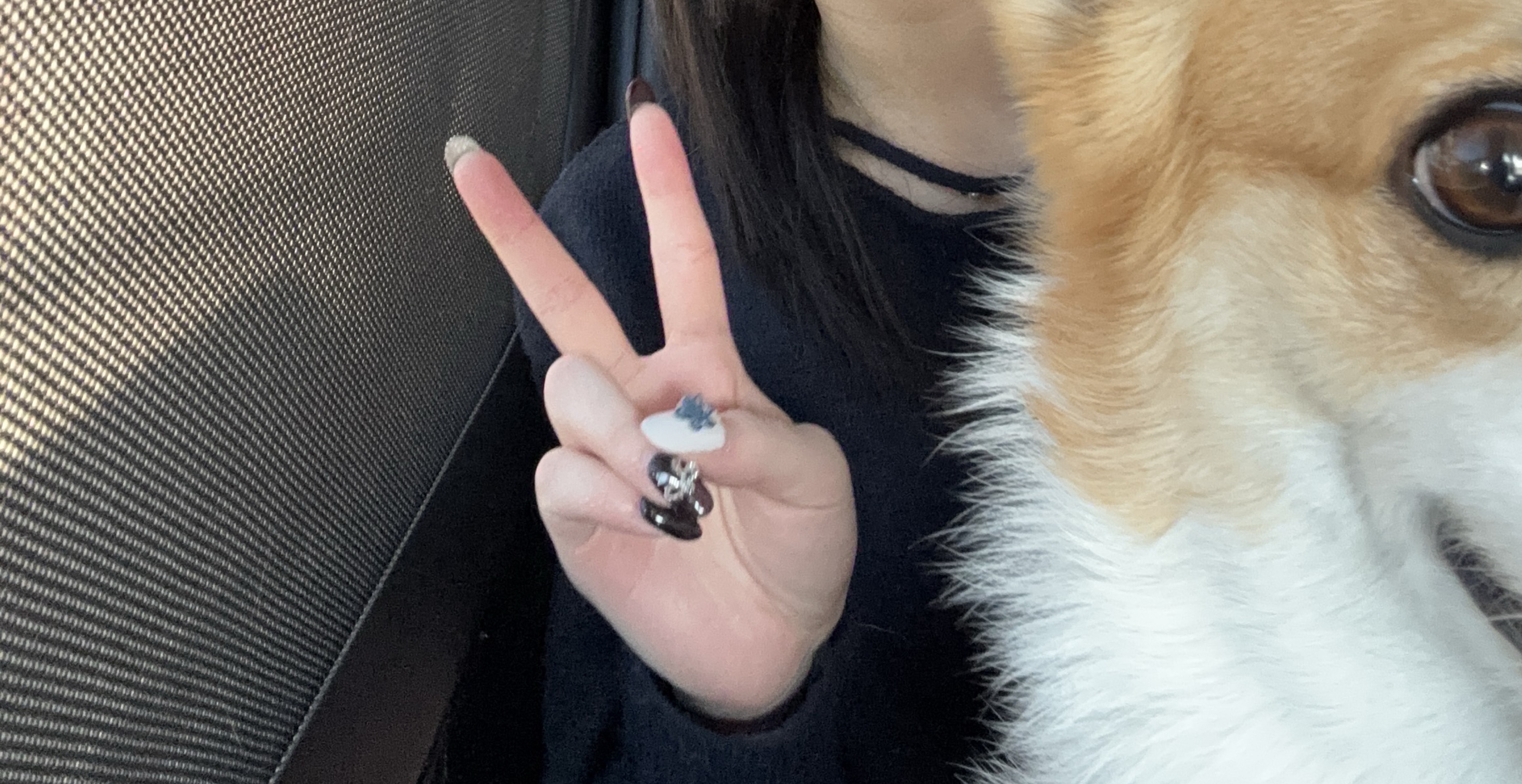 声がさがさだけどぎたー練習すー