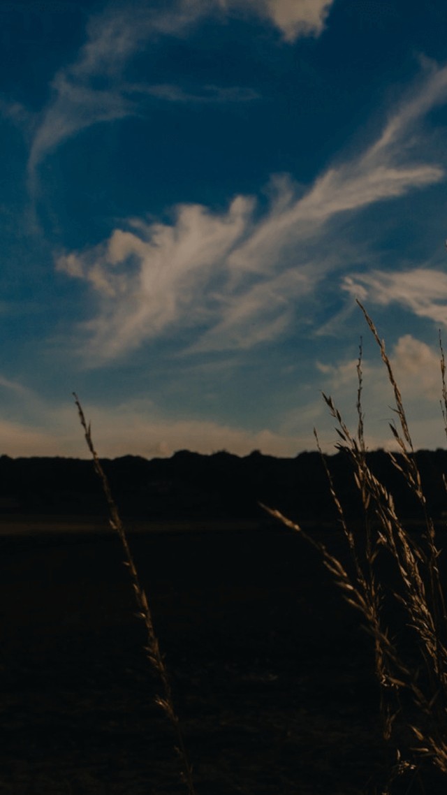 【帰宅後】お暇な方～お相手願います