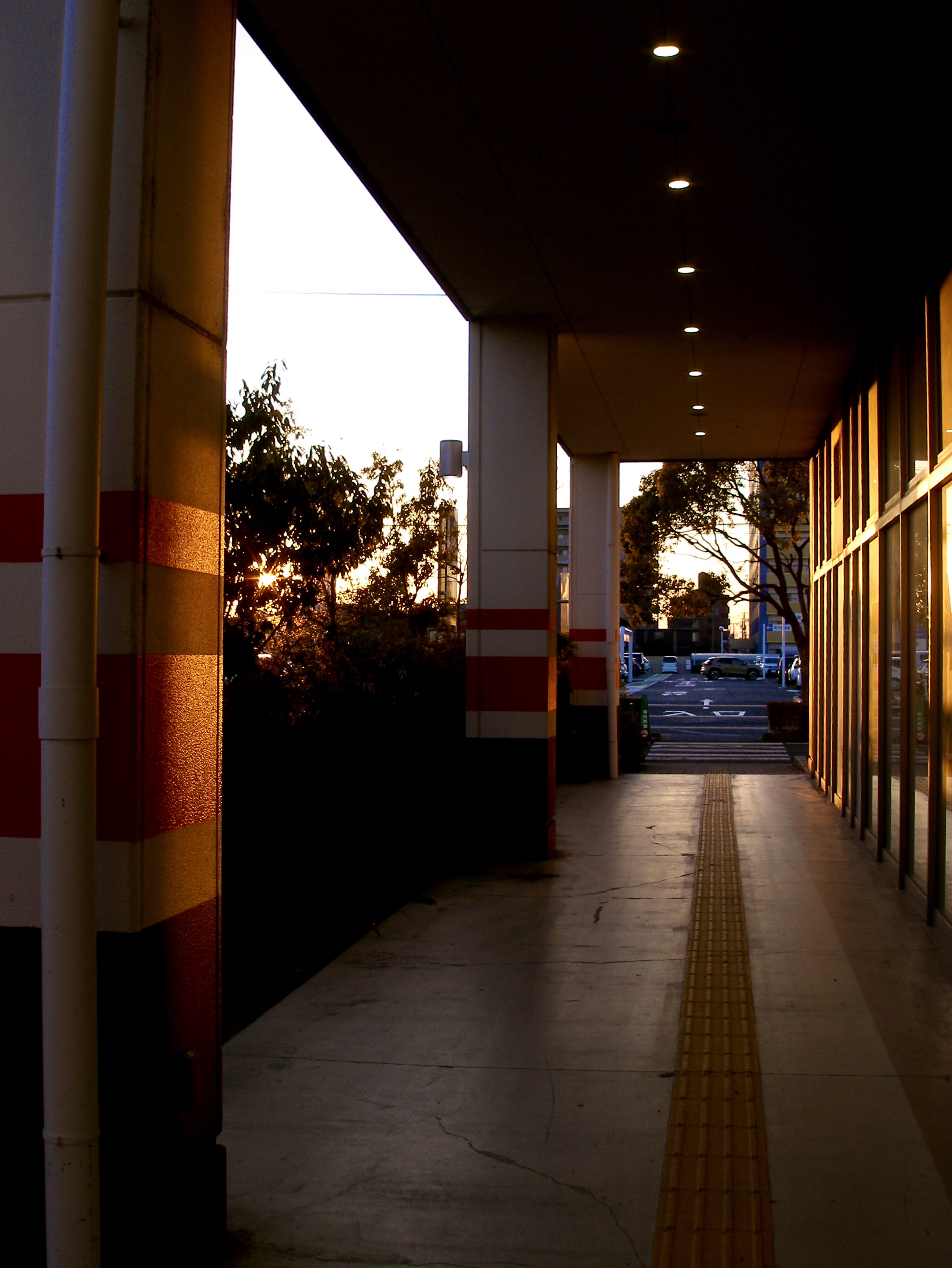 カメラが好きな人の為のラジオ