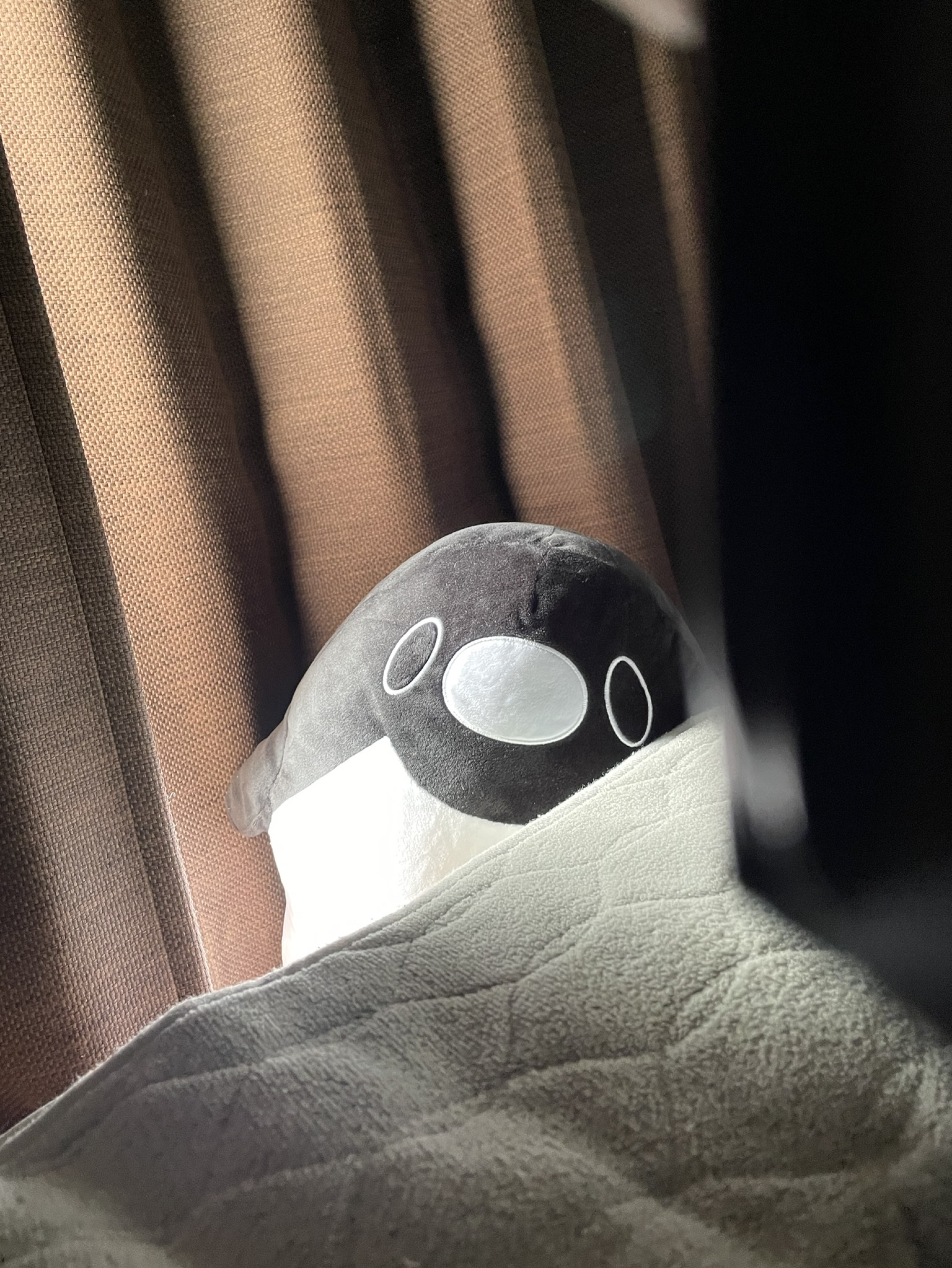 話し相手になって