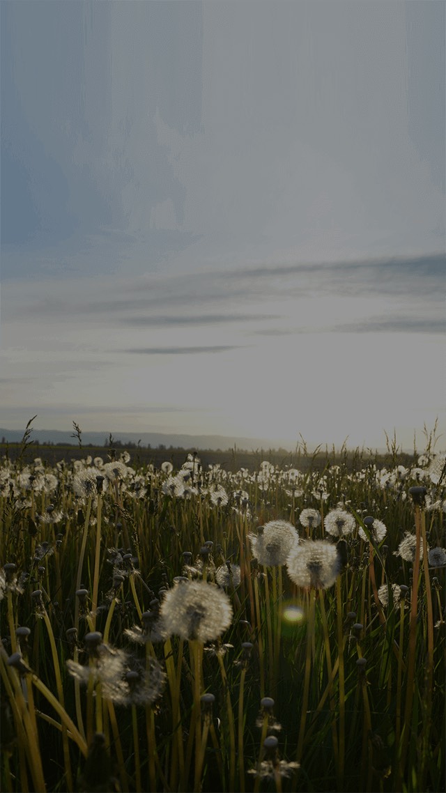 眠そうな人です。話そ