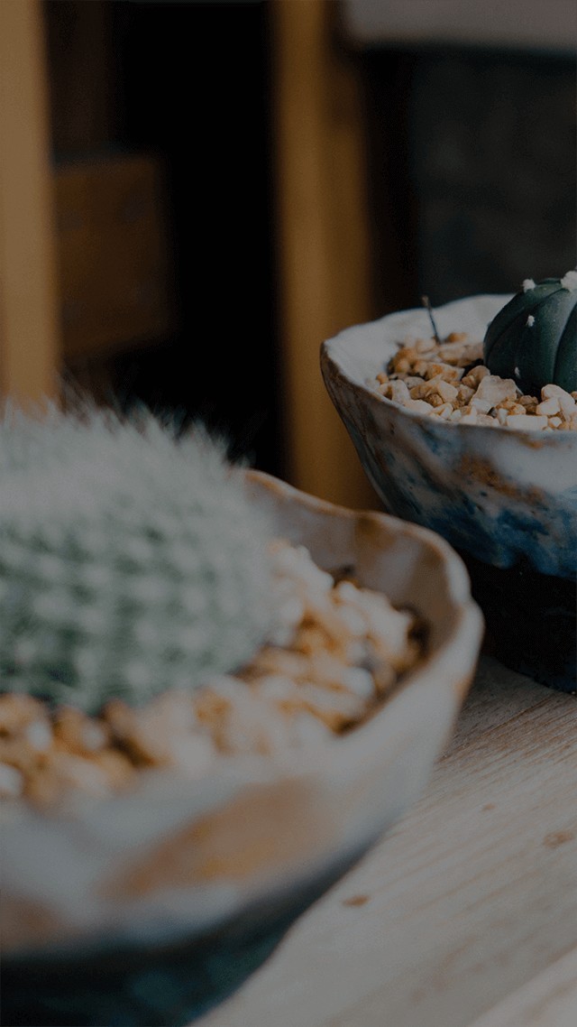 イケボカラオケ