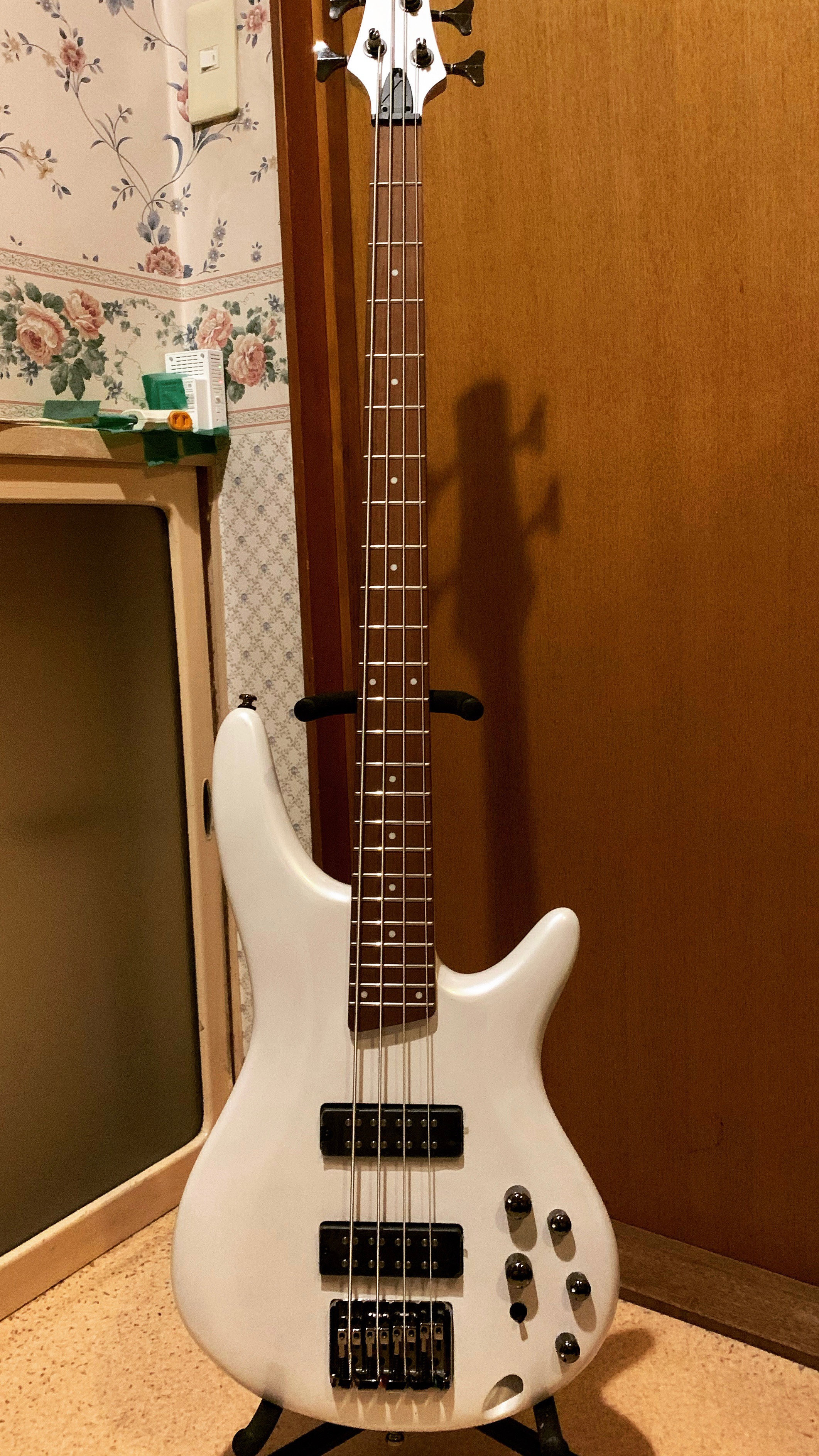 ベース始めました【DTM】