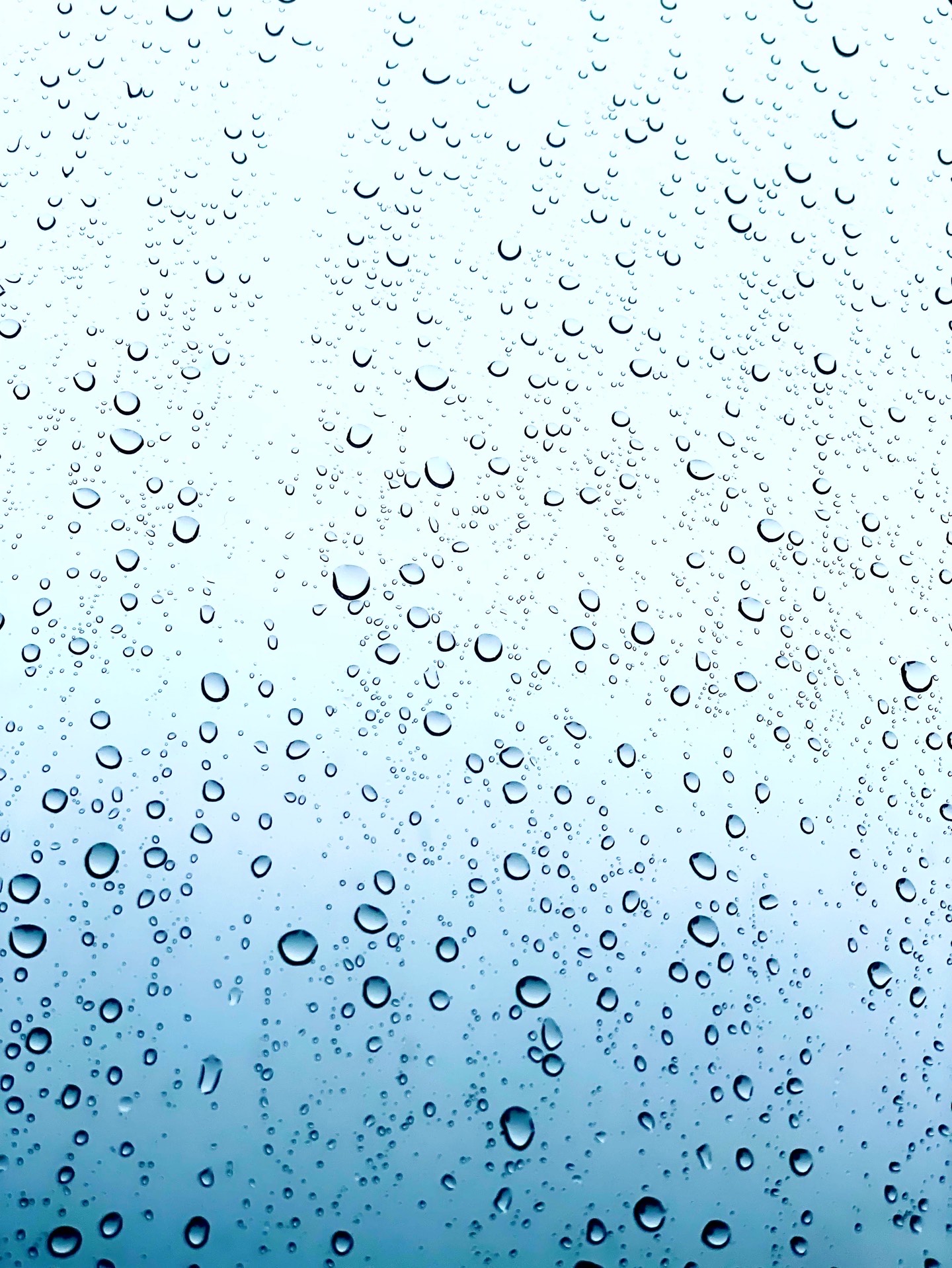 にわか雨から晴れましたね 19:20まで