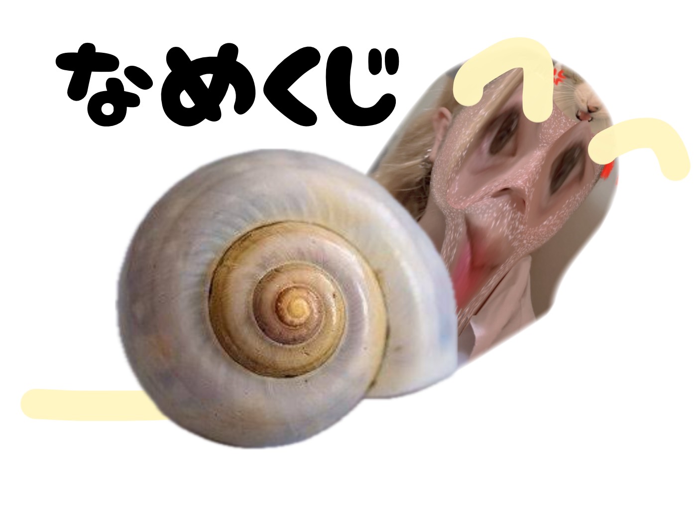 ぬぬ！初見さんFUNさんお話しよ！