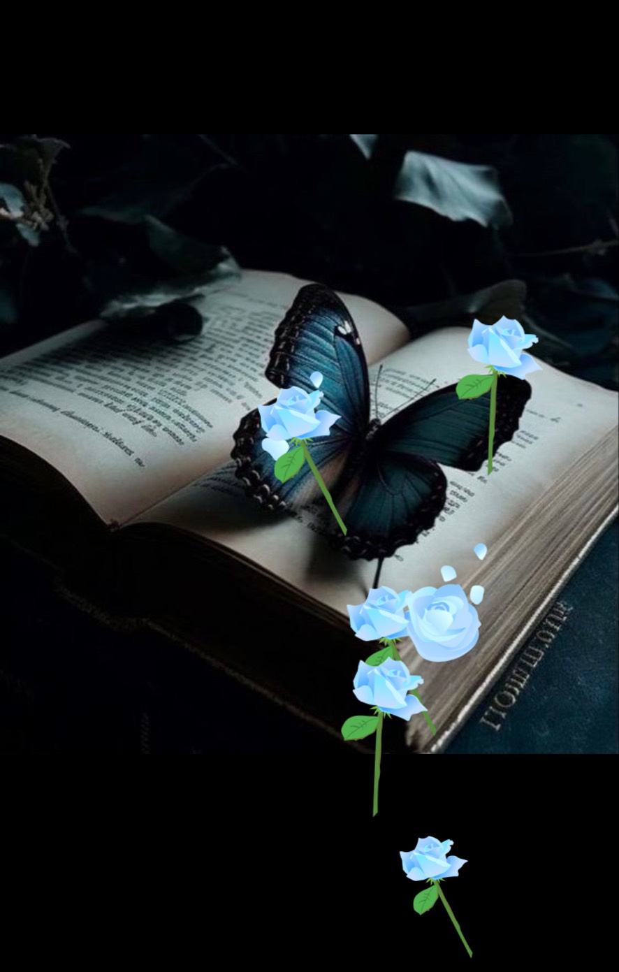 ☪︎*｡꙳