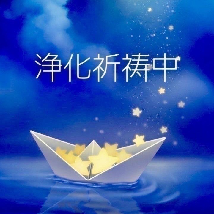 浄化作業