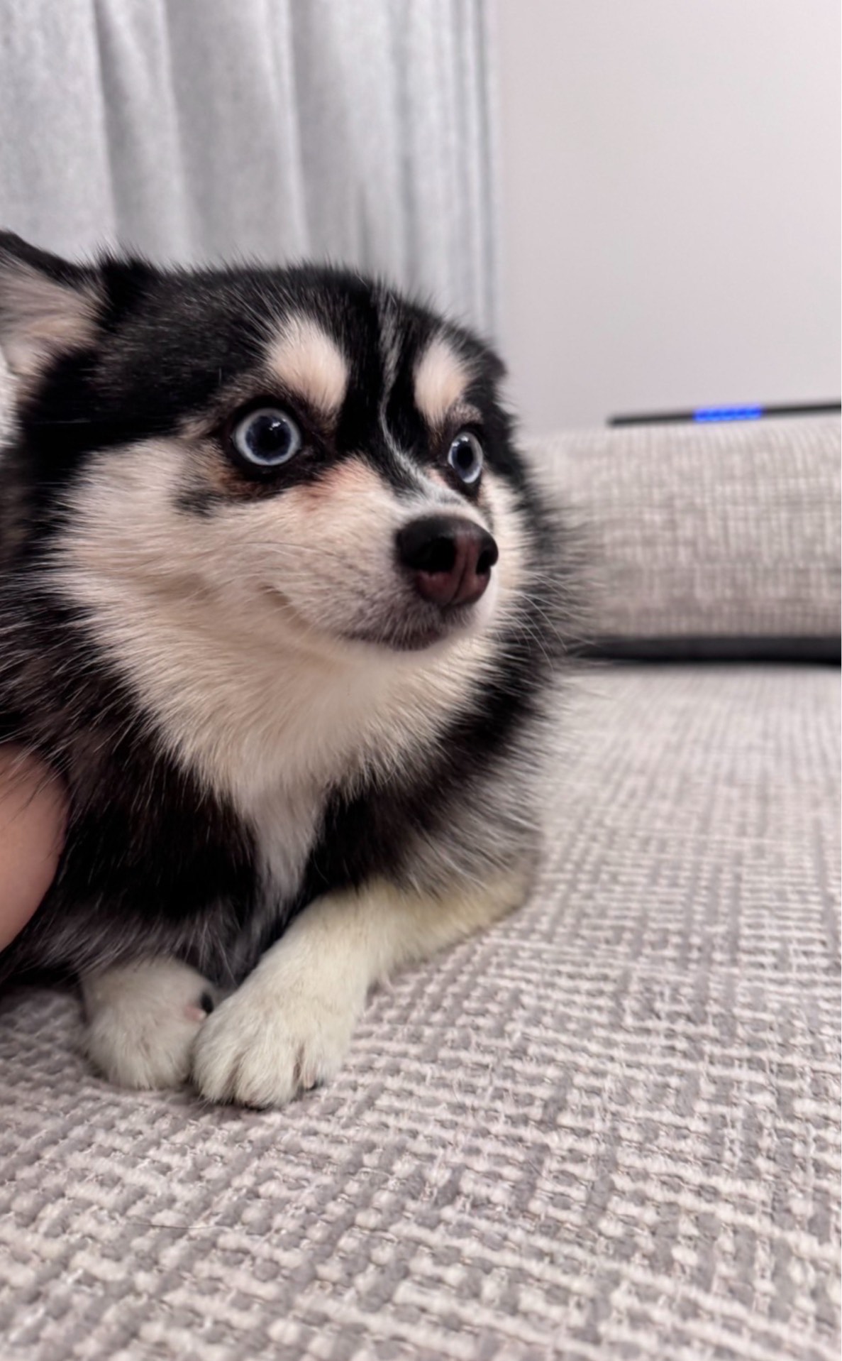 おはよう