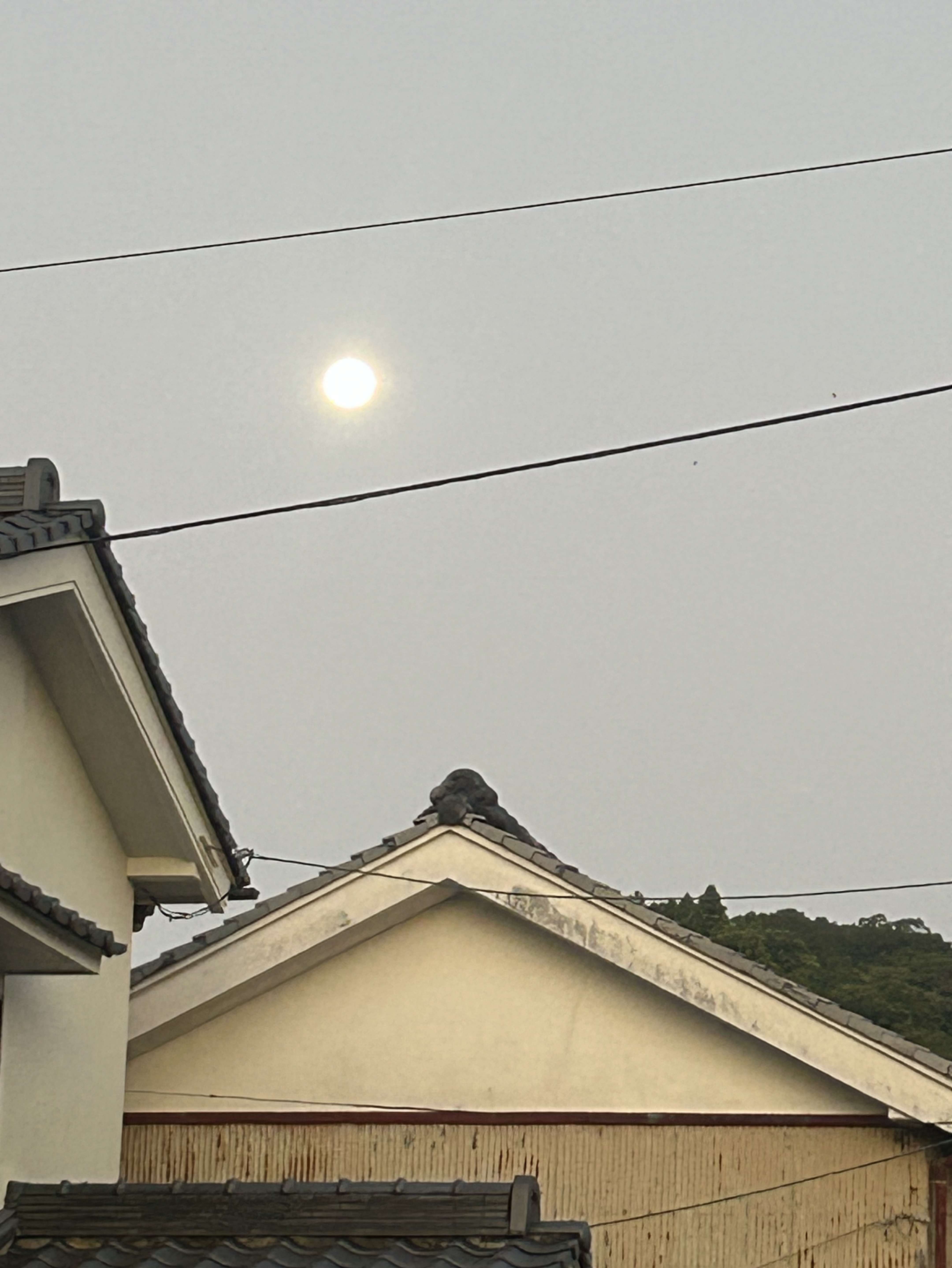 初潜◎癒されにおいで