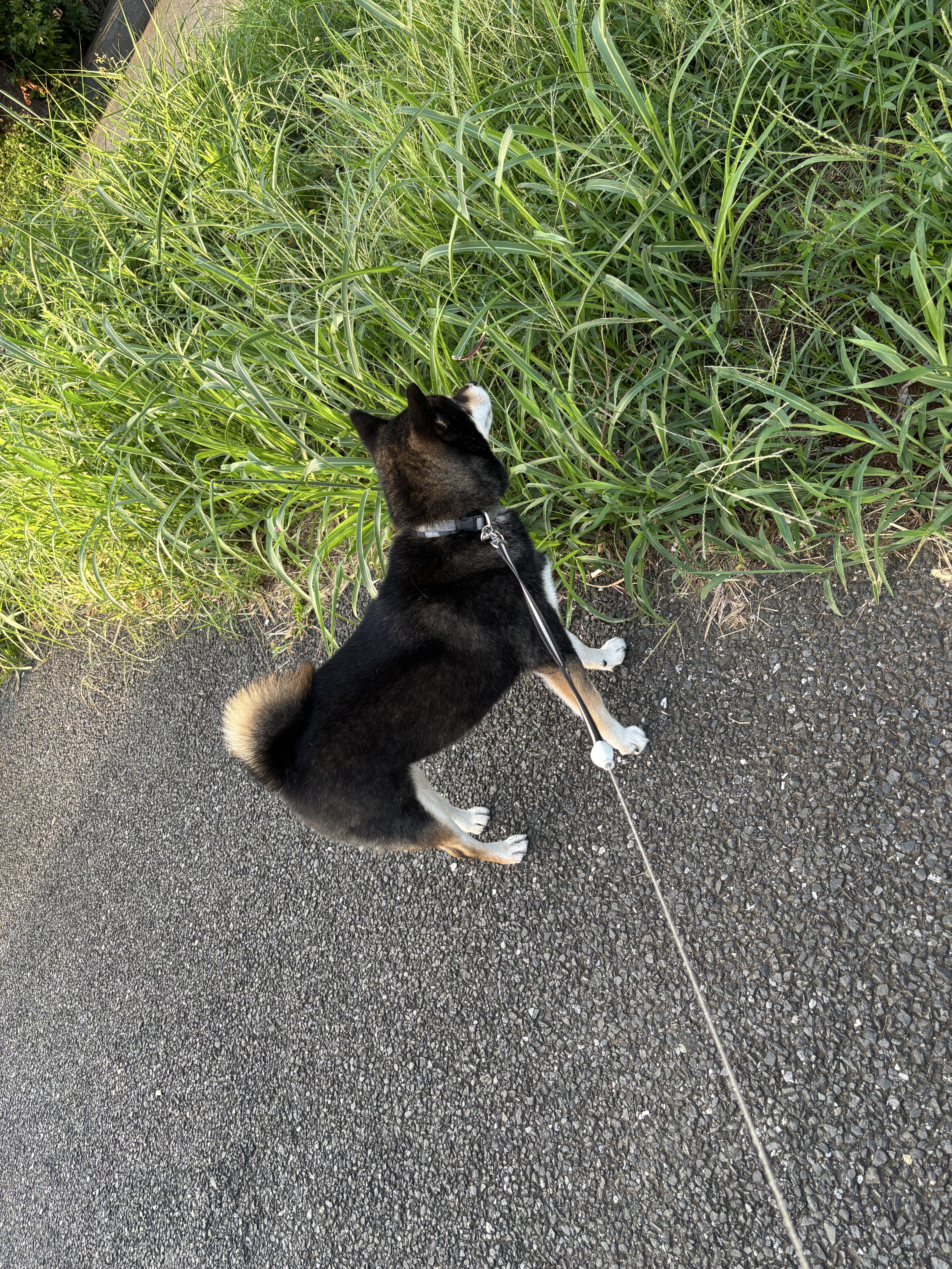 35分くらい（1番金かけてる趣味って？）