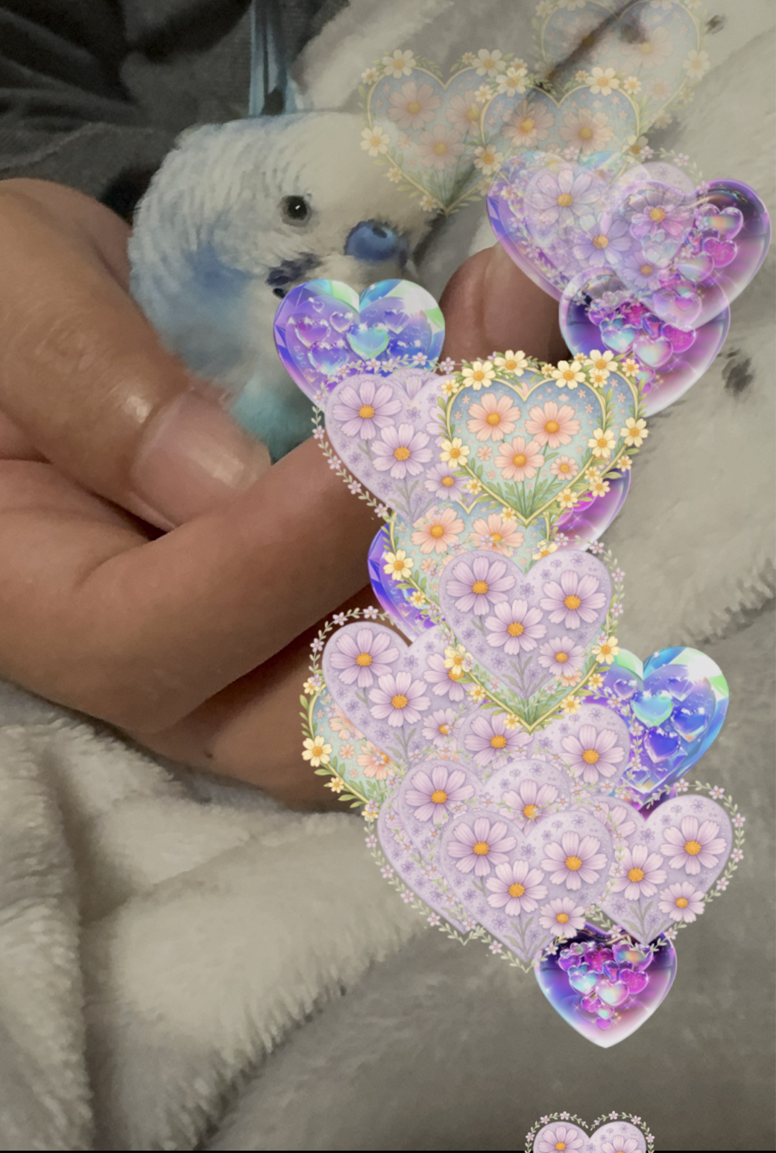 初見さん潜りさんなんでも◎
